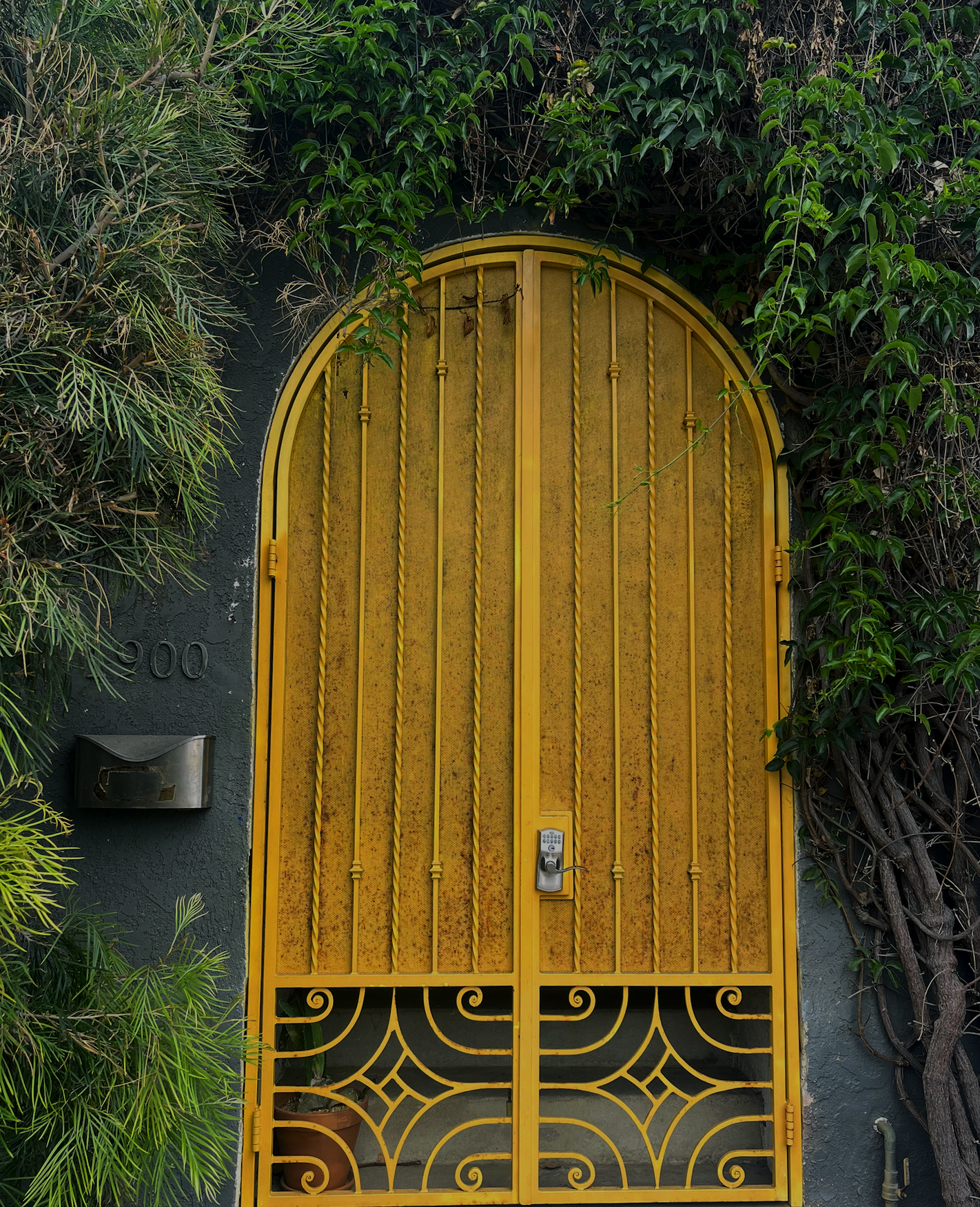 door.png