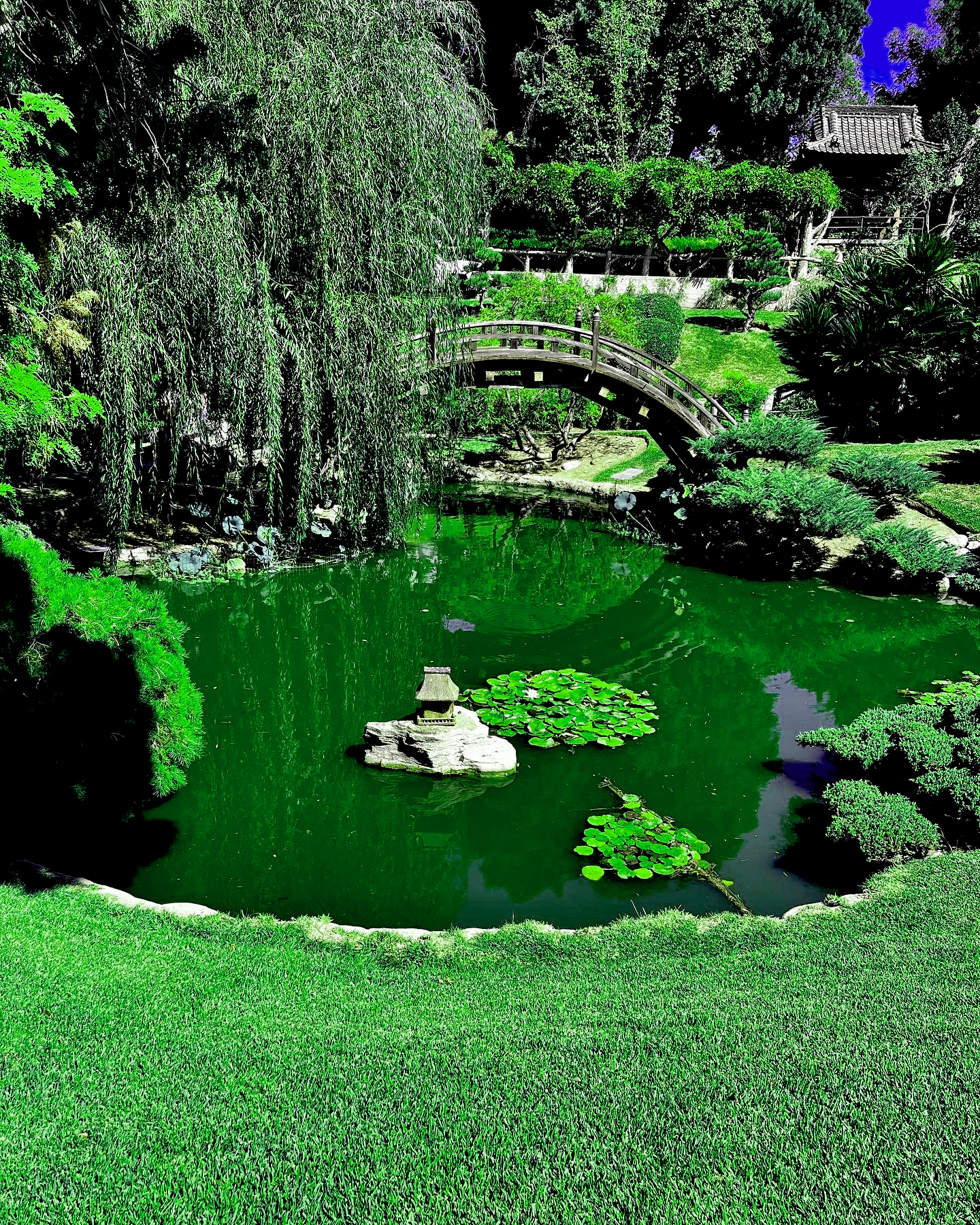 green.png