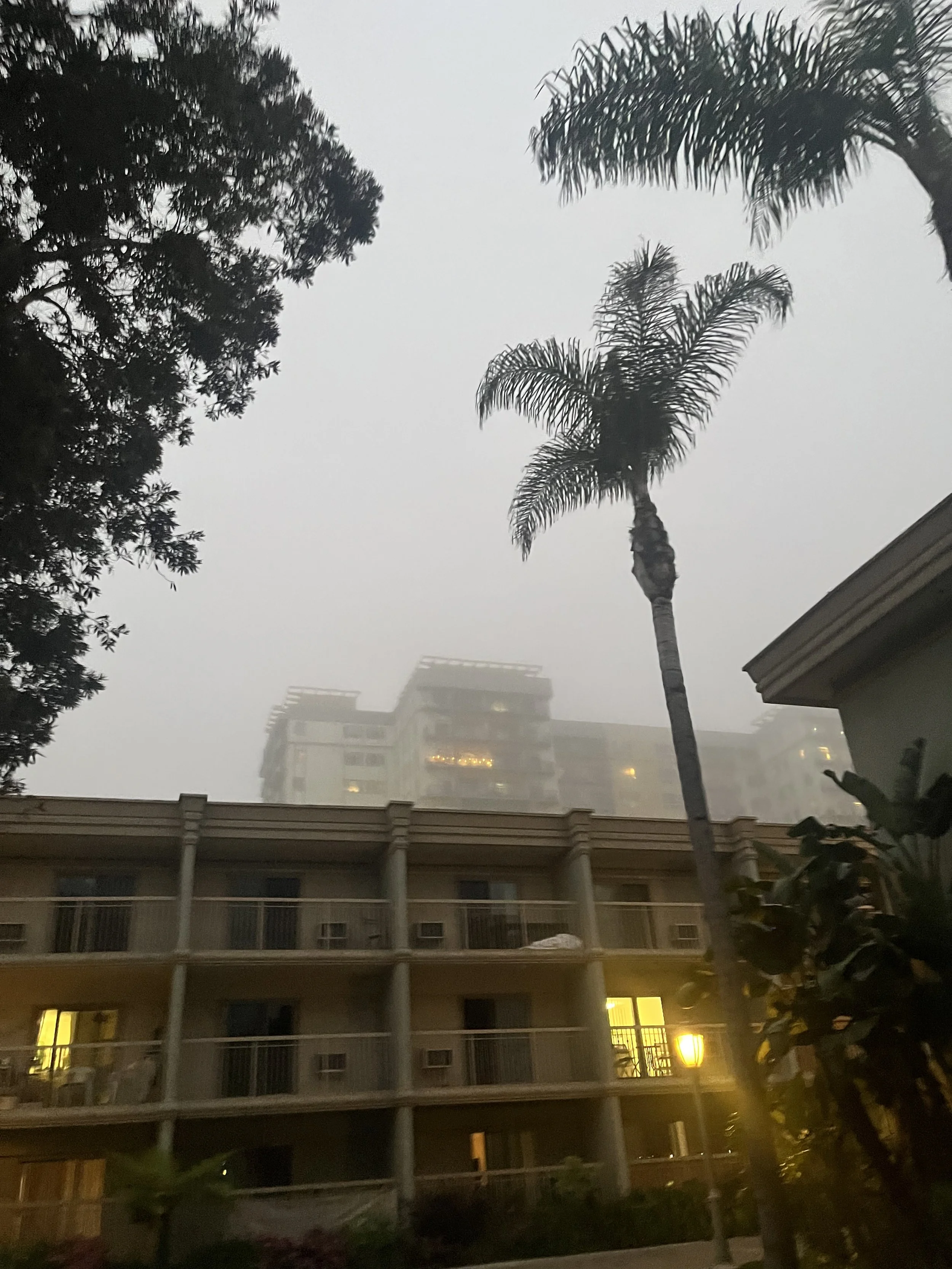 image00023.jpeg