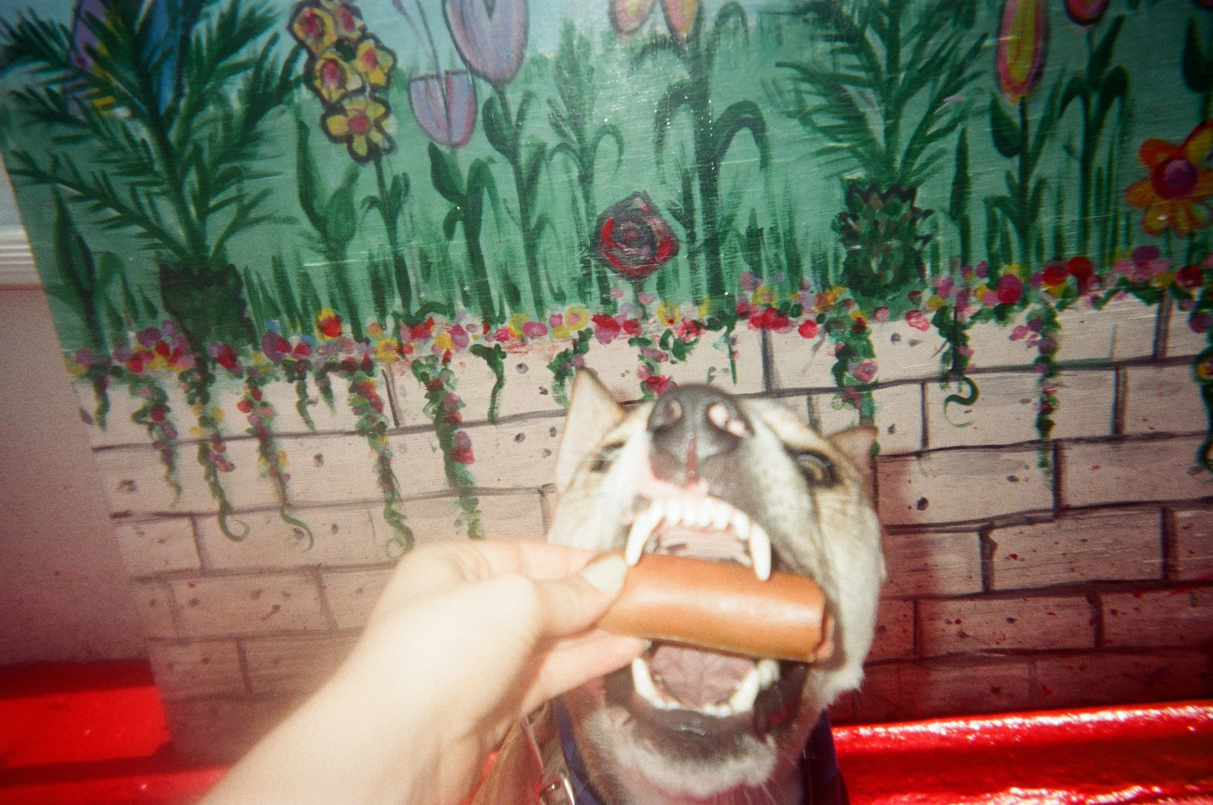 image00055.jpeg