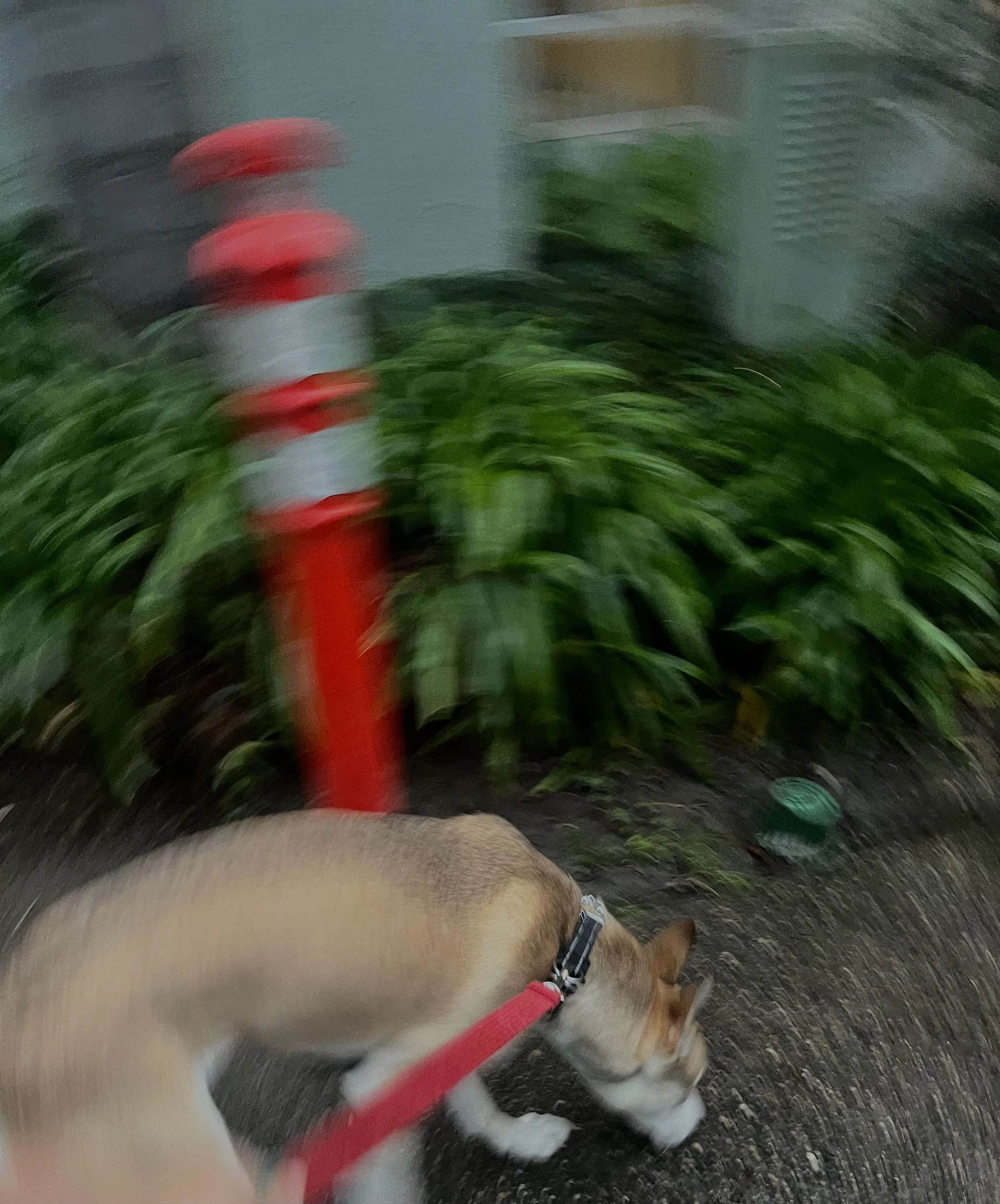image00088.jpeg