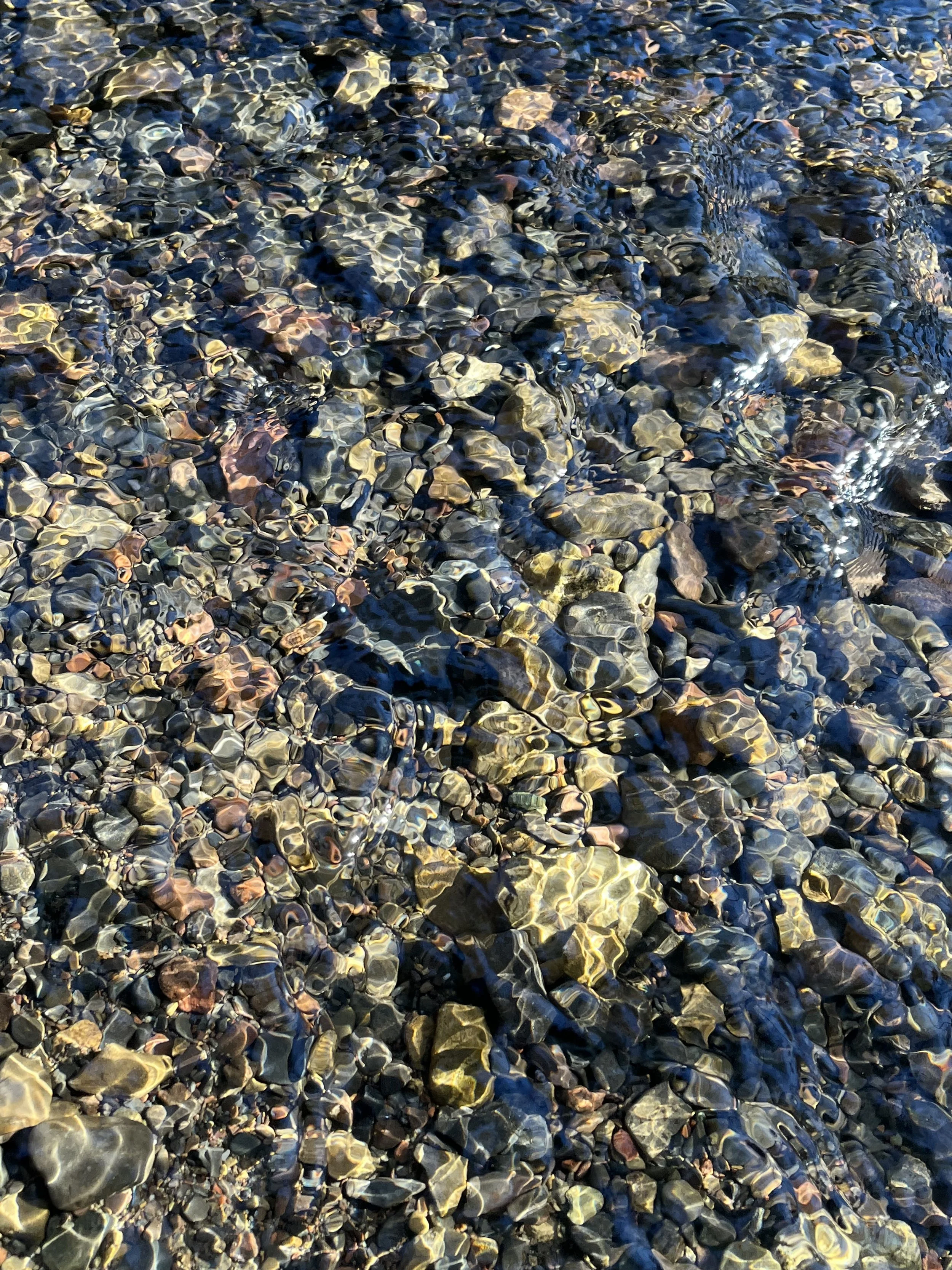 image00016.jpeg