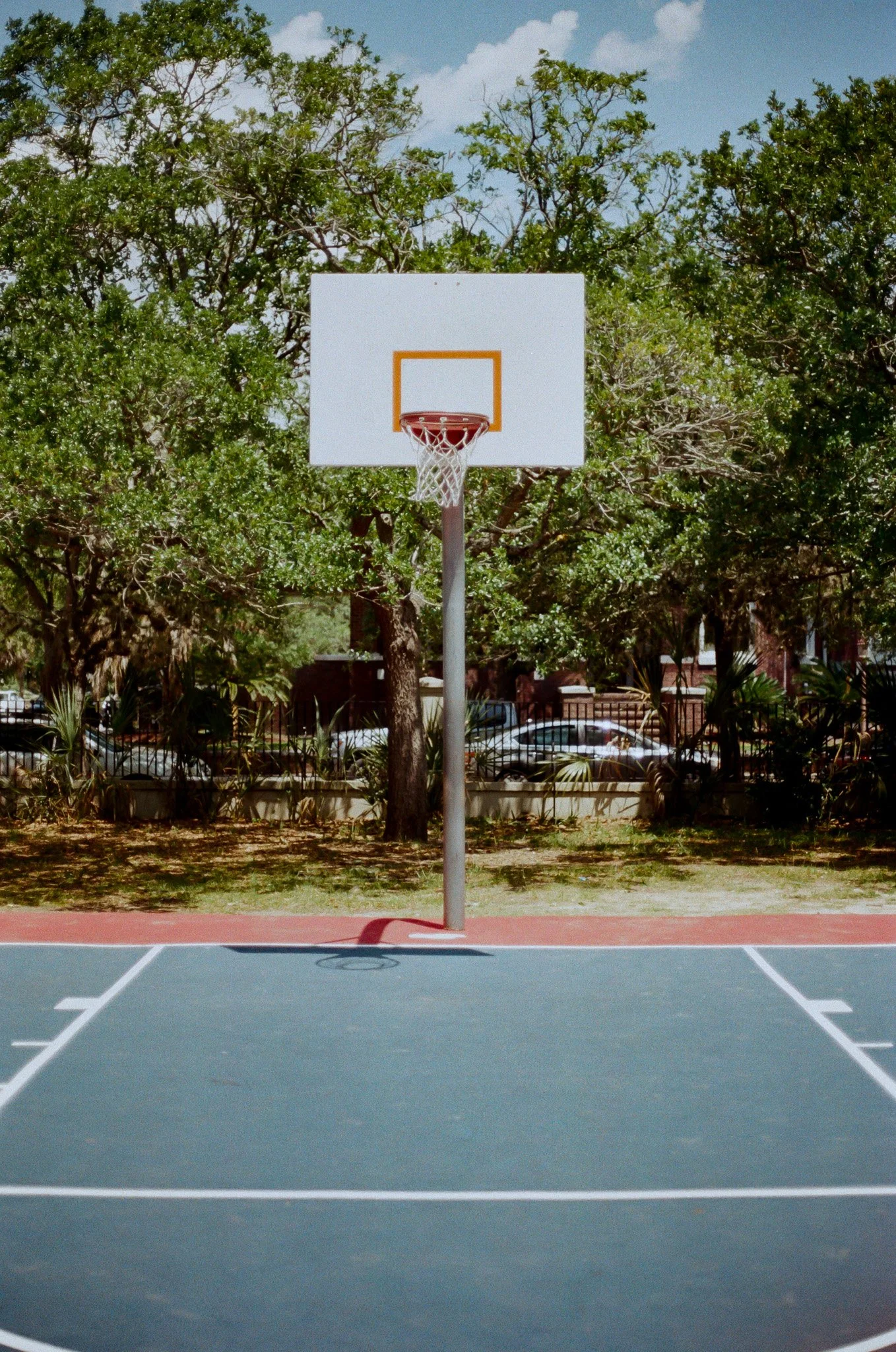 6015.jpg