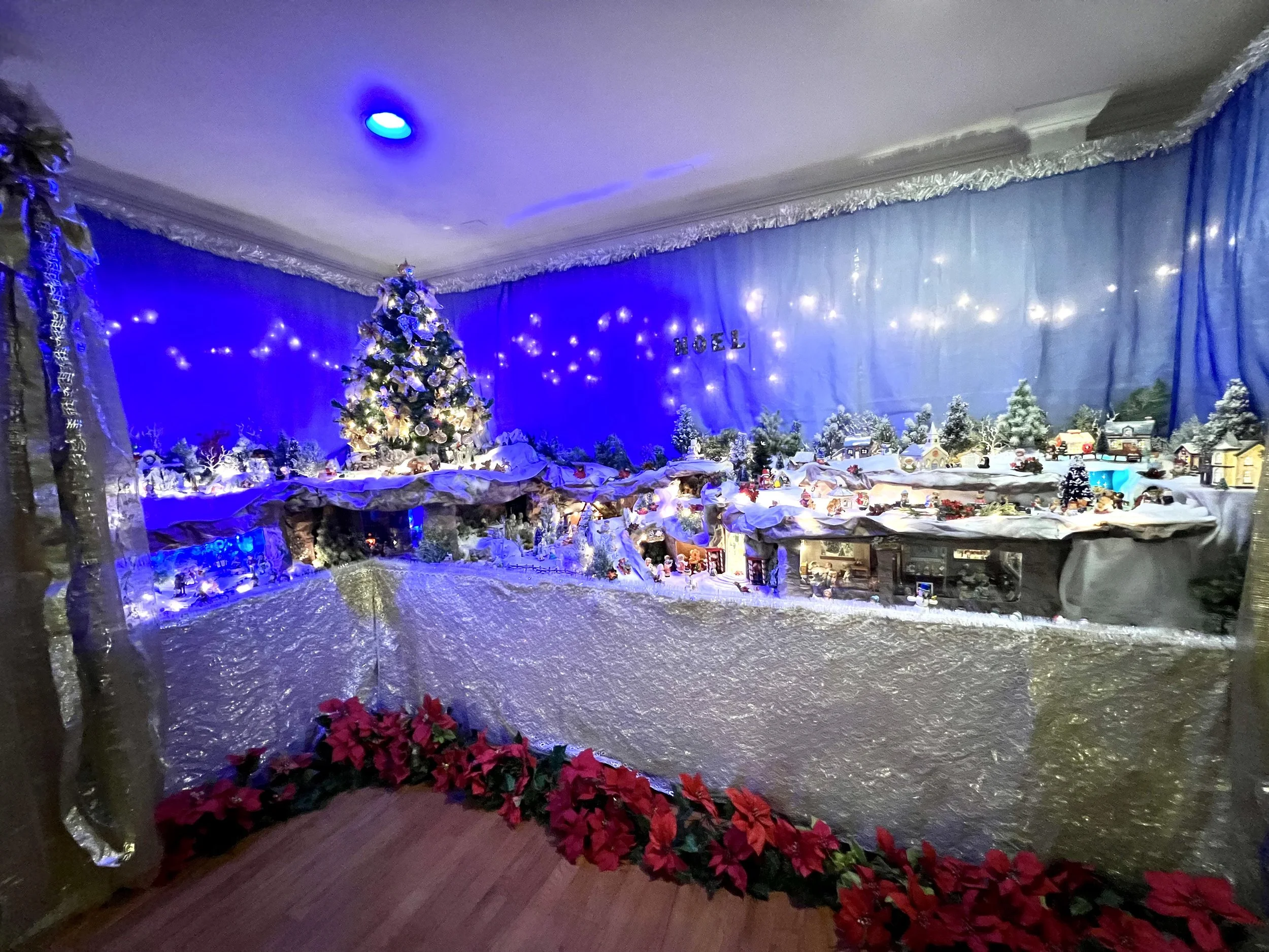 Liliane's Christmas display