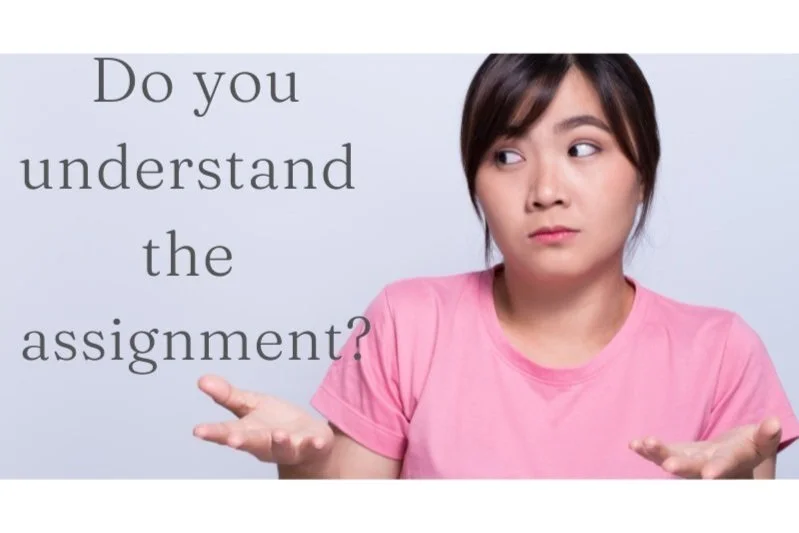 Do you understand the assignment?