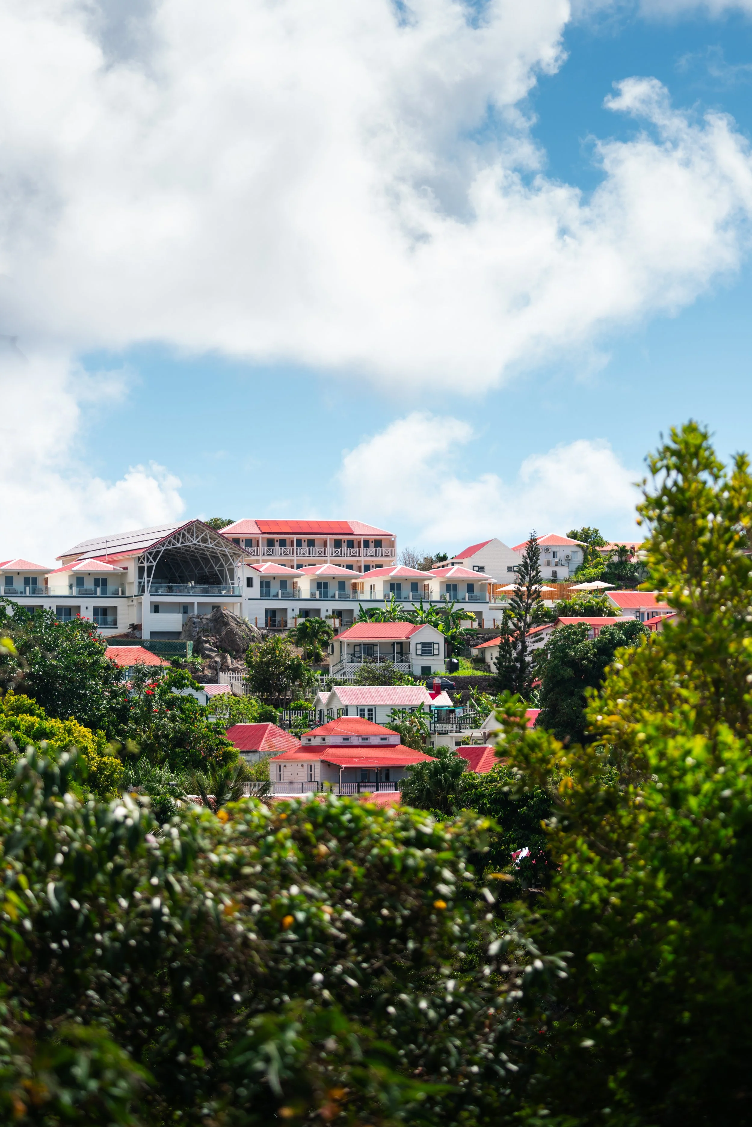 Saba-052.jpg