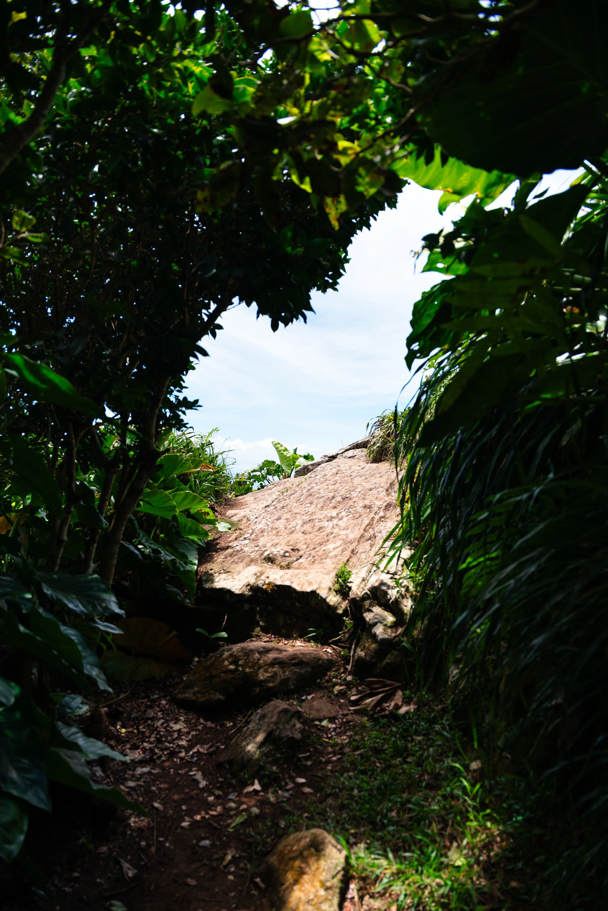 Saba-193.jpg