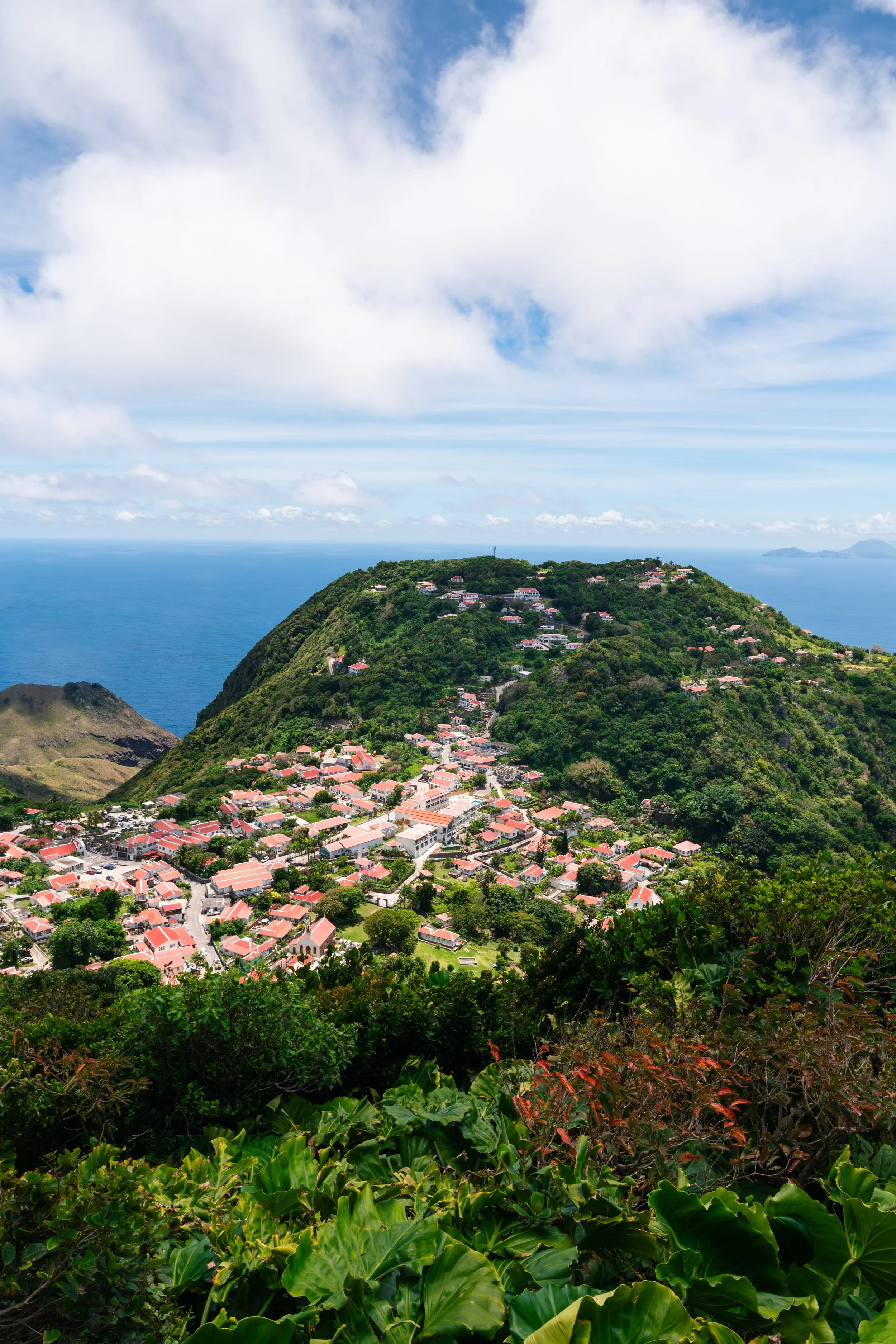 Saba-198 copy.jpeg