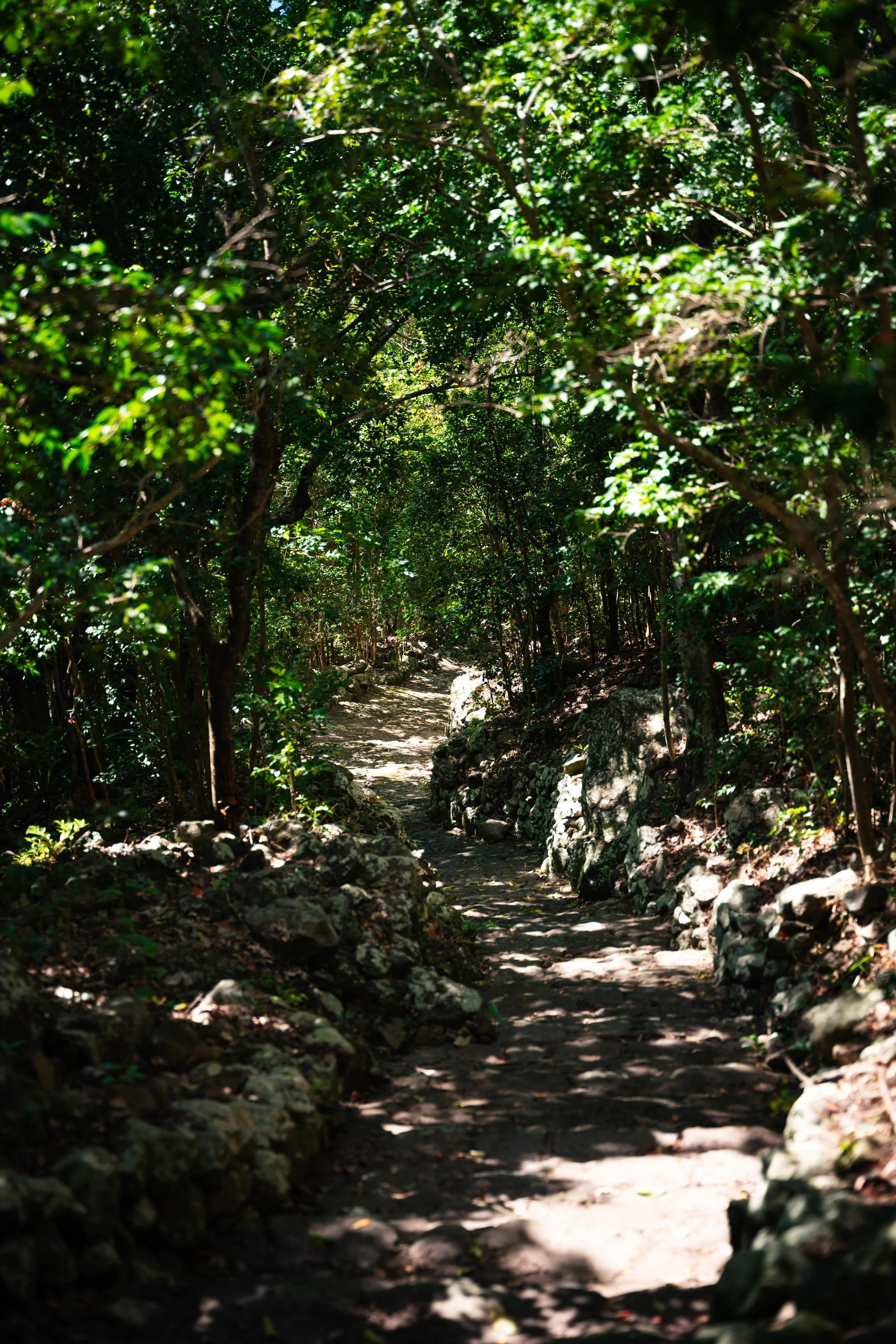 Saba-095 copy.jpeg