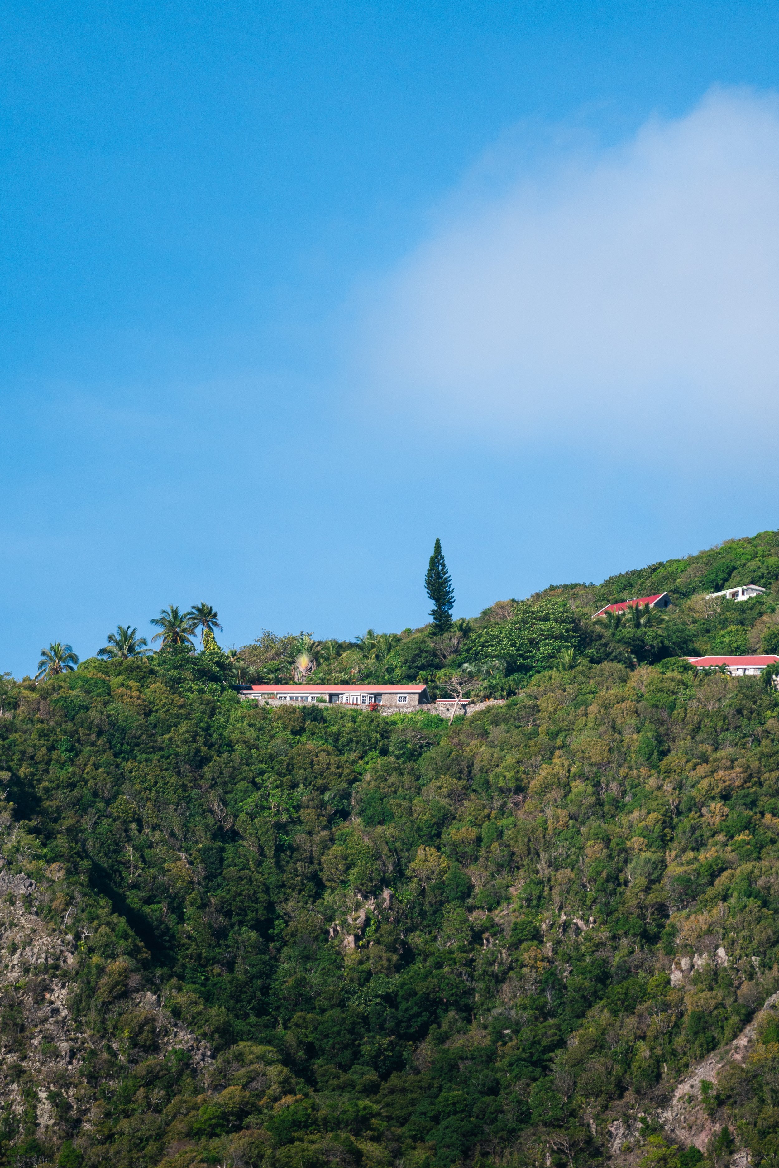 Saba-155.jpg