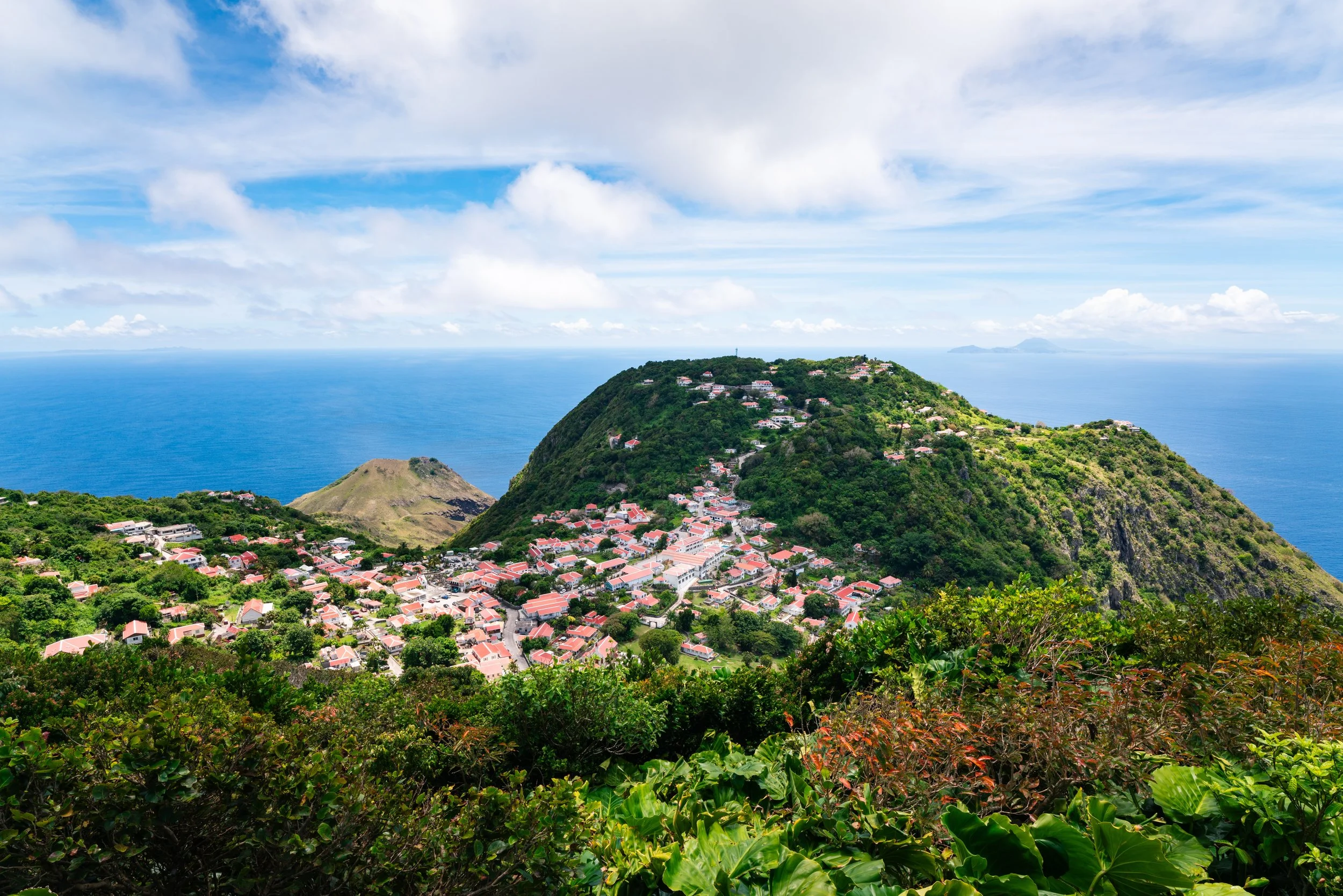 Saba-205 copy.jpeg