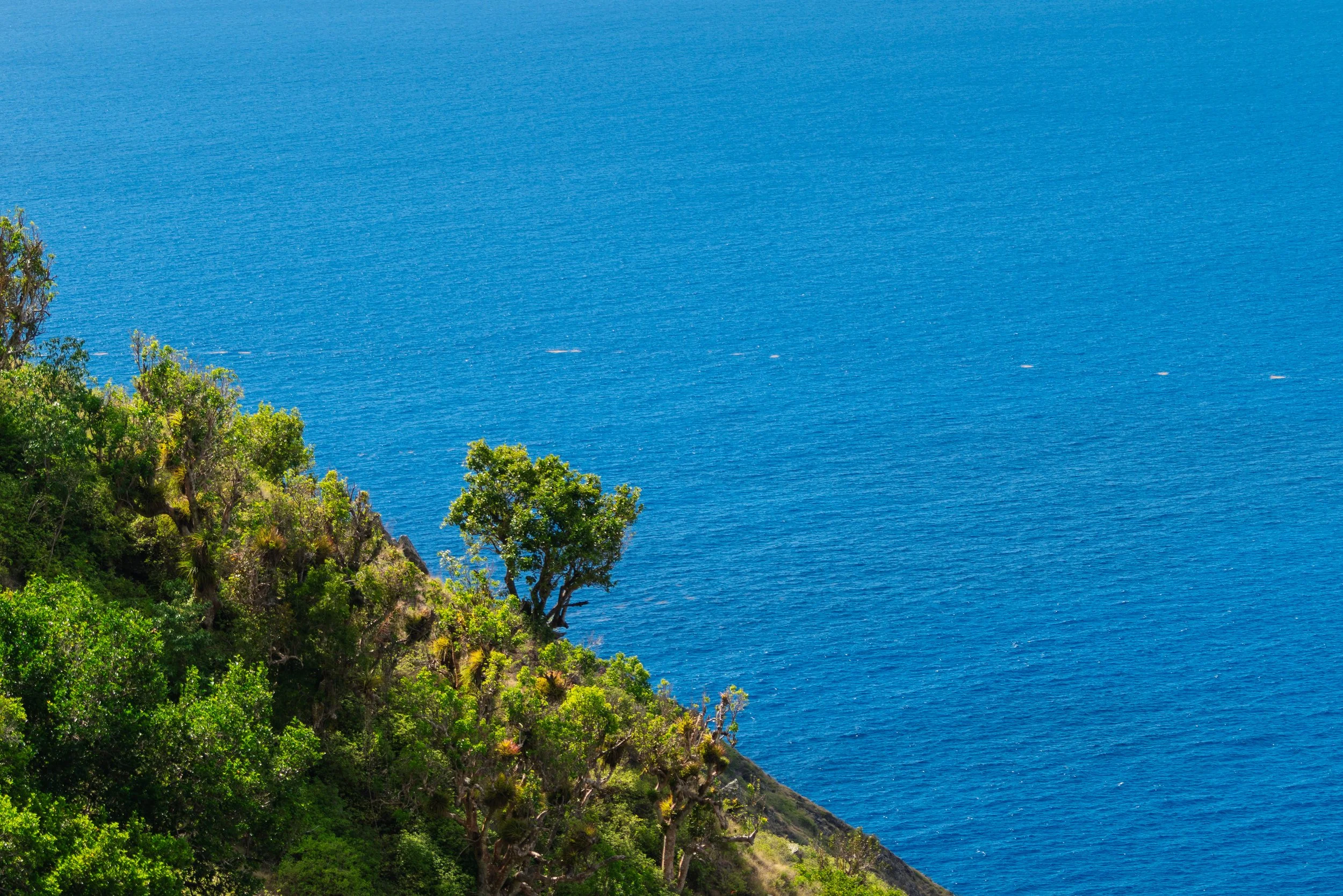 Saba-051.jpg