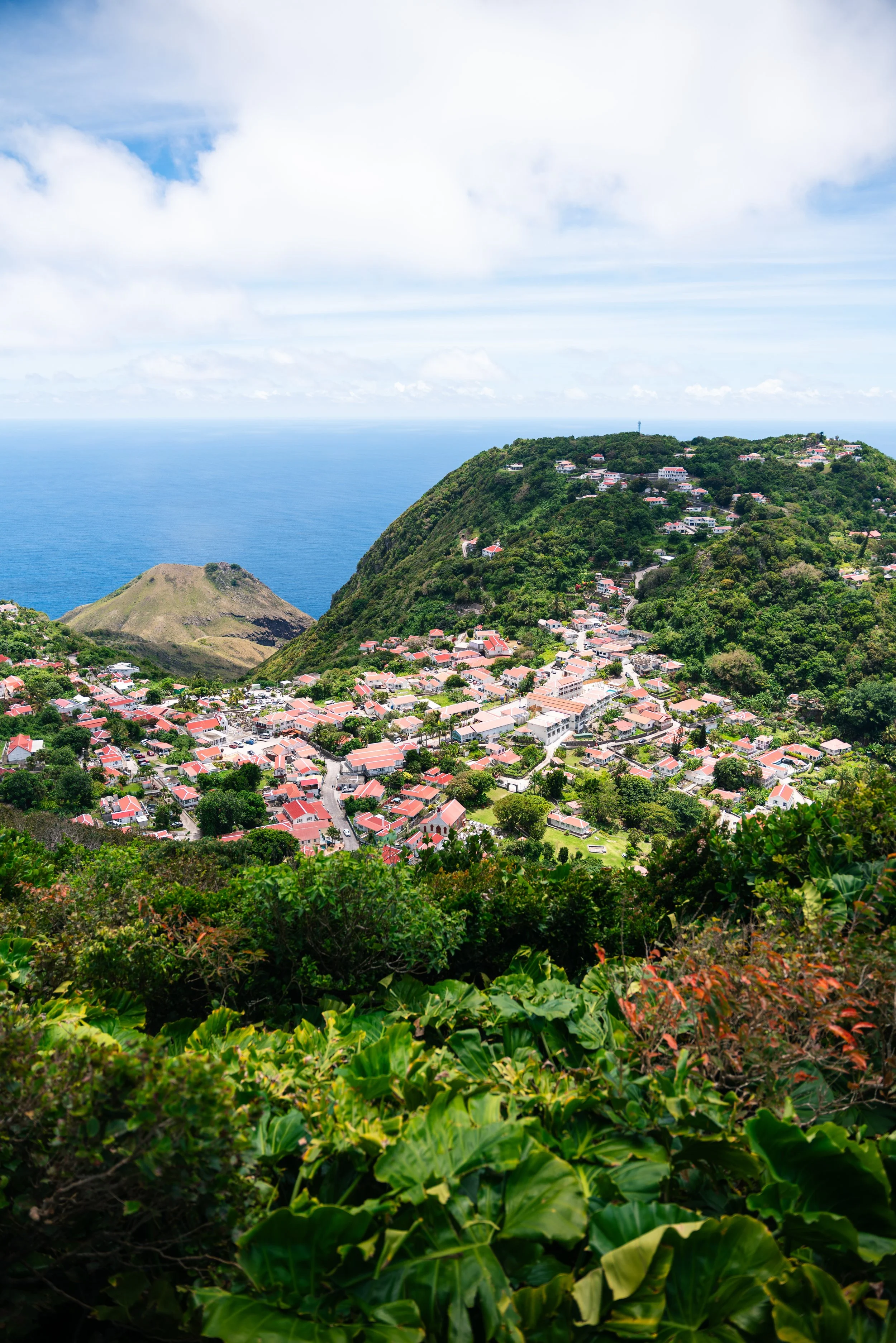 Saba-194 copy.jpeg