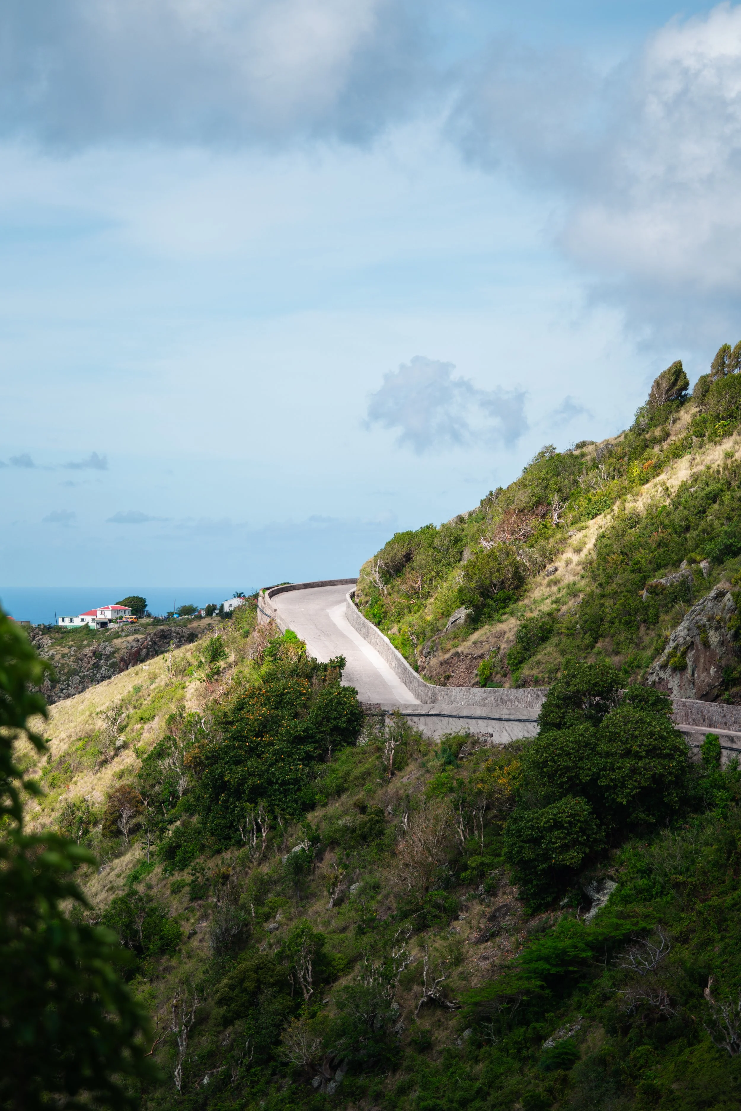 Saba-047.jpg