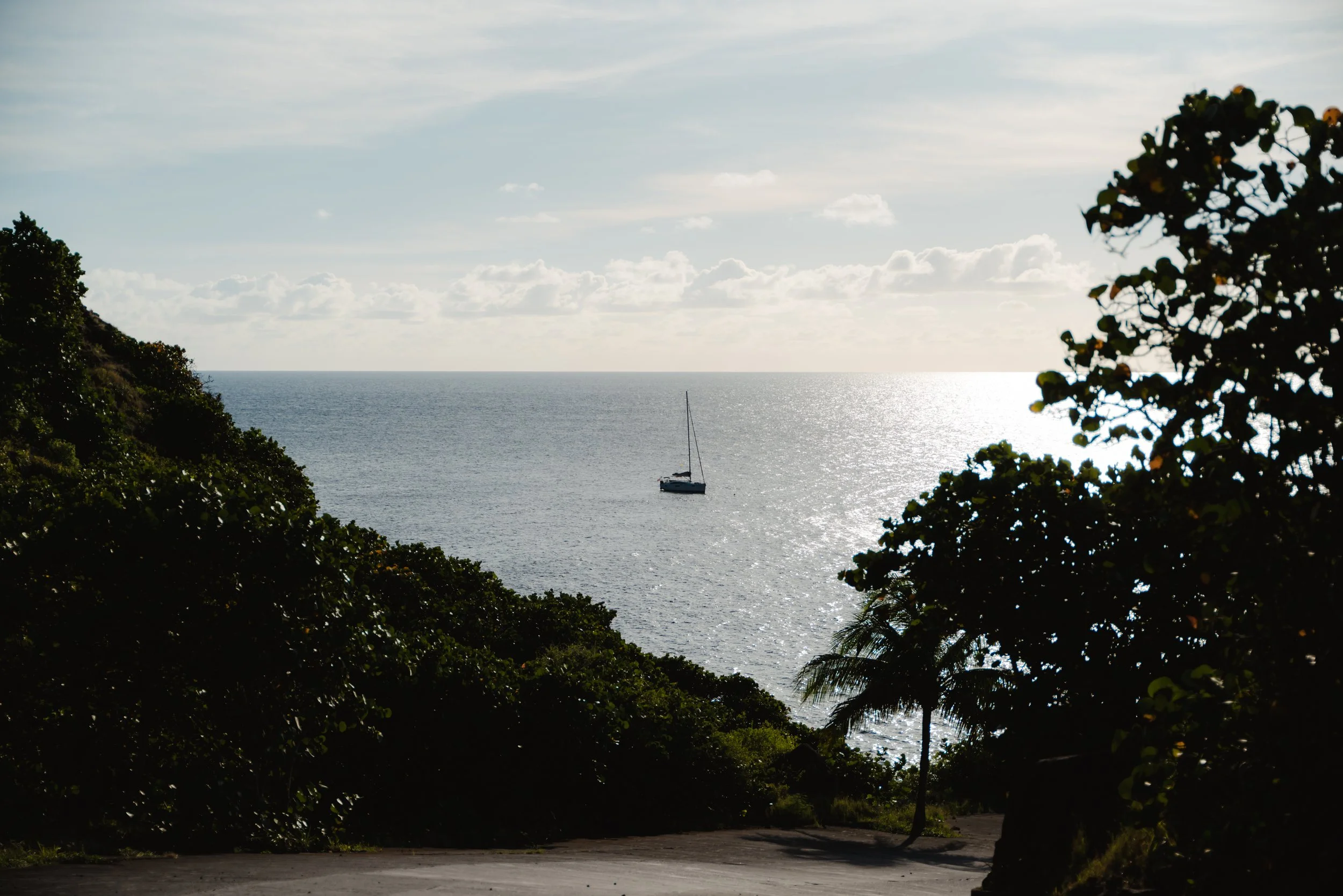 Saba-128.jpg