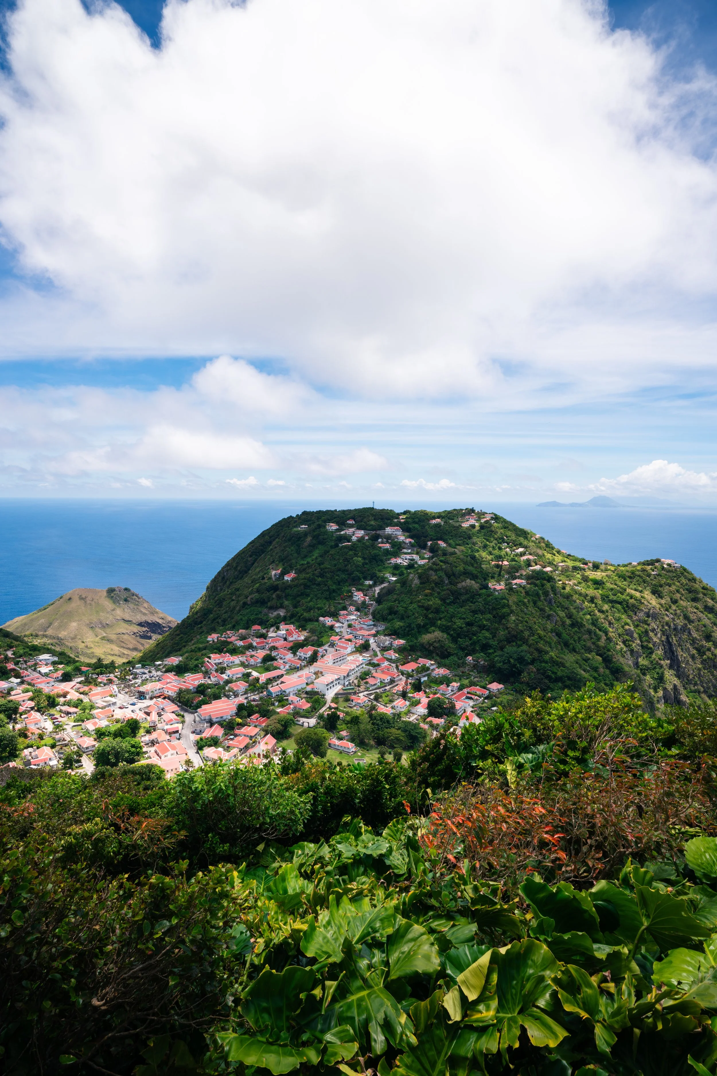 Saba-204 copy.jpeg