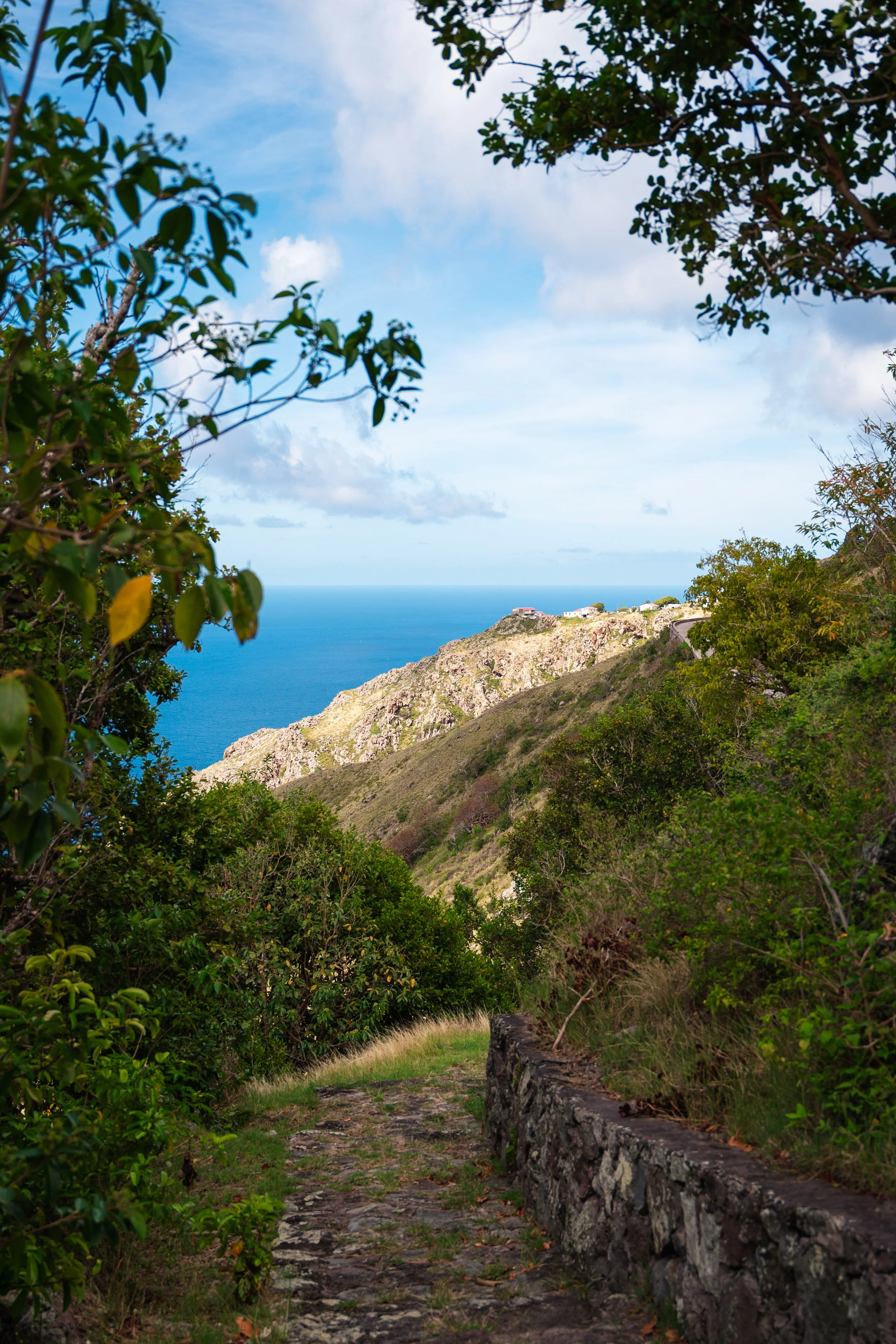 Saba-044.jpg