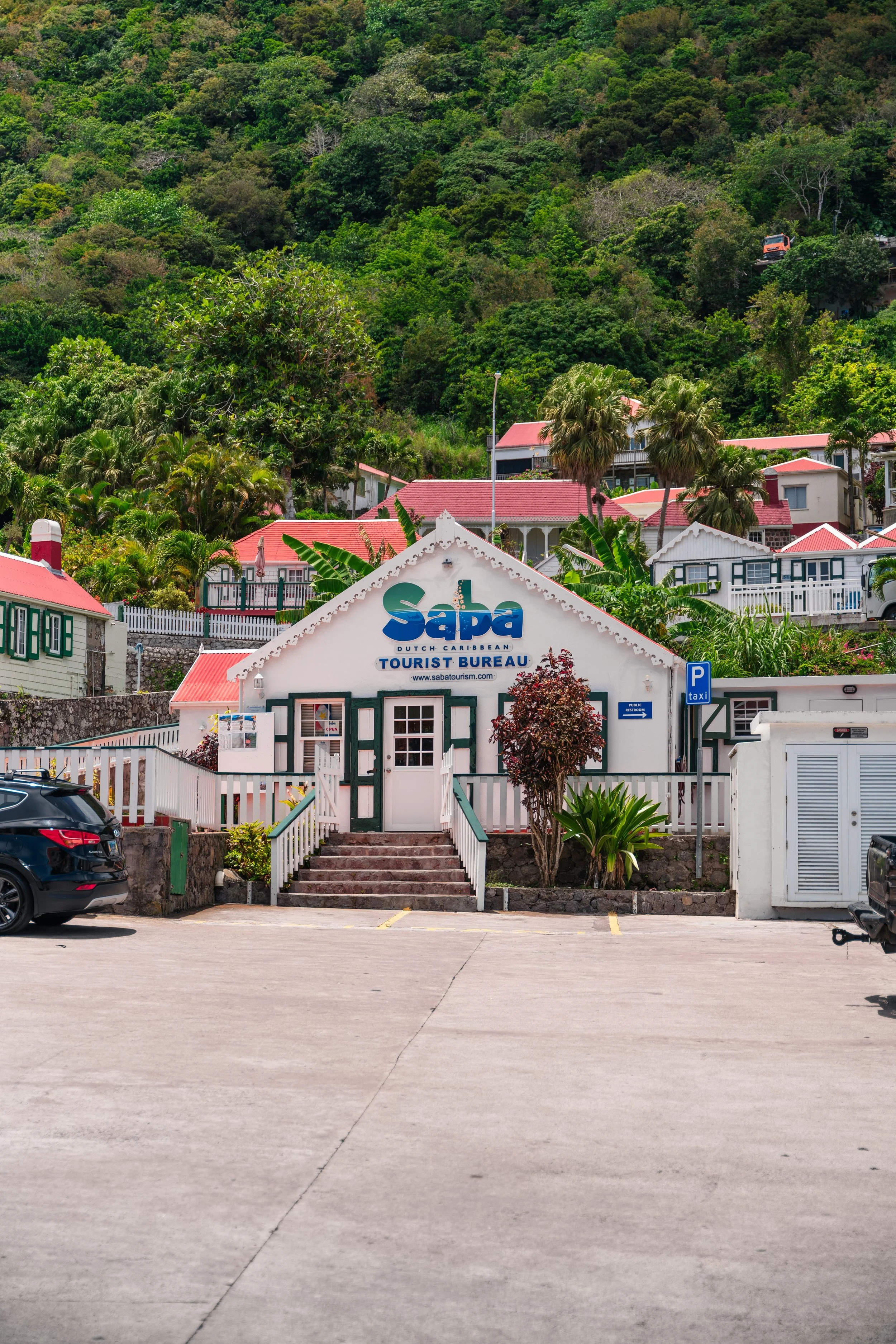 Saba-207 copy.jpeg
