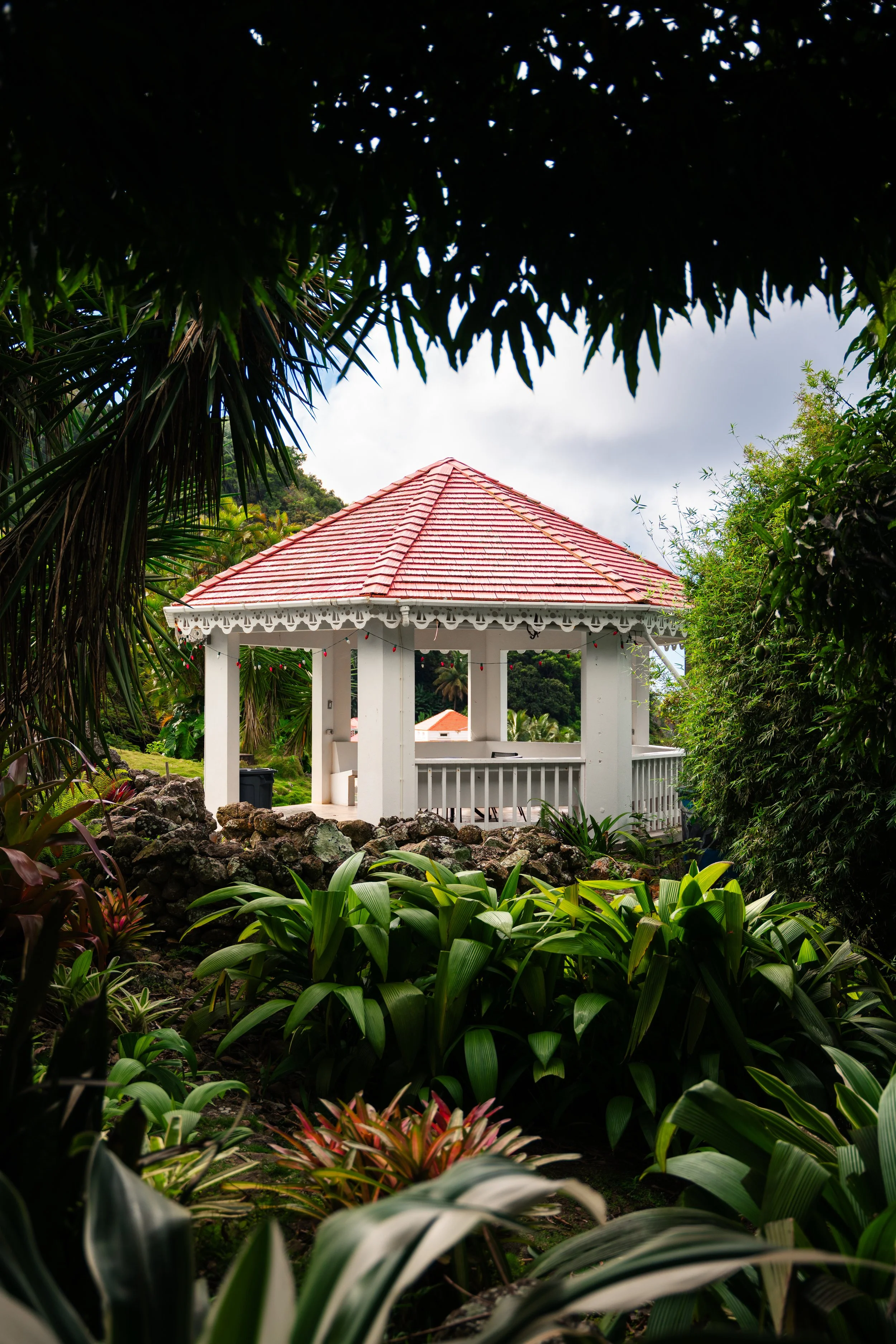 Saba-023.jpg