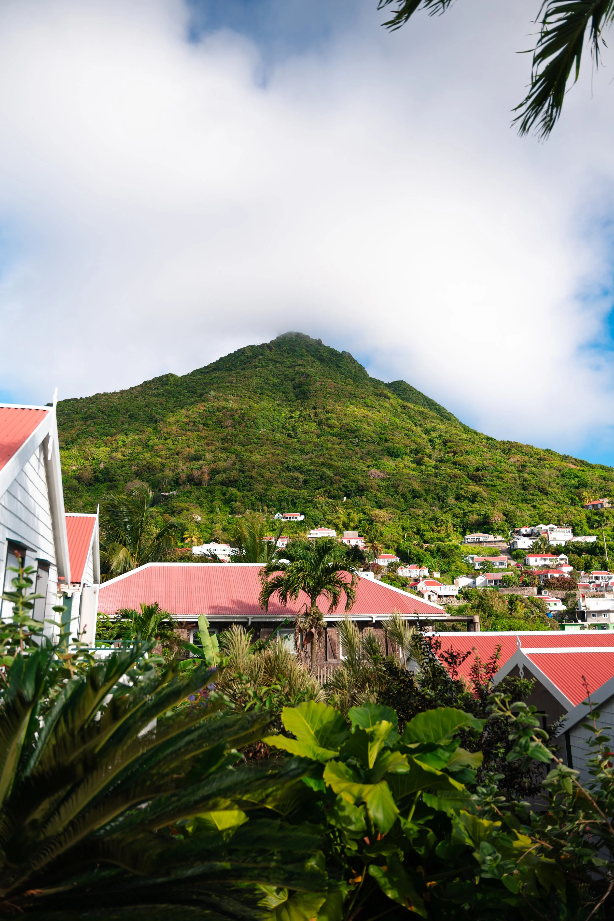 Saba-010.jpg