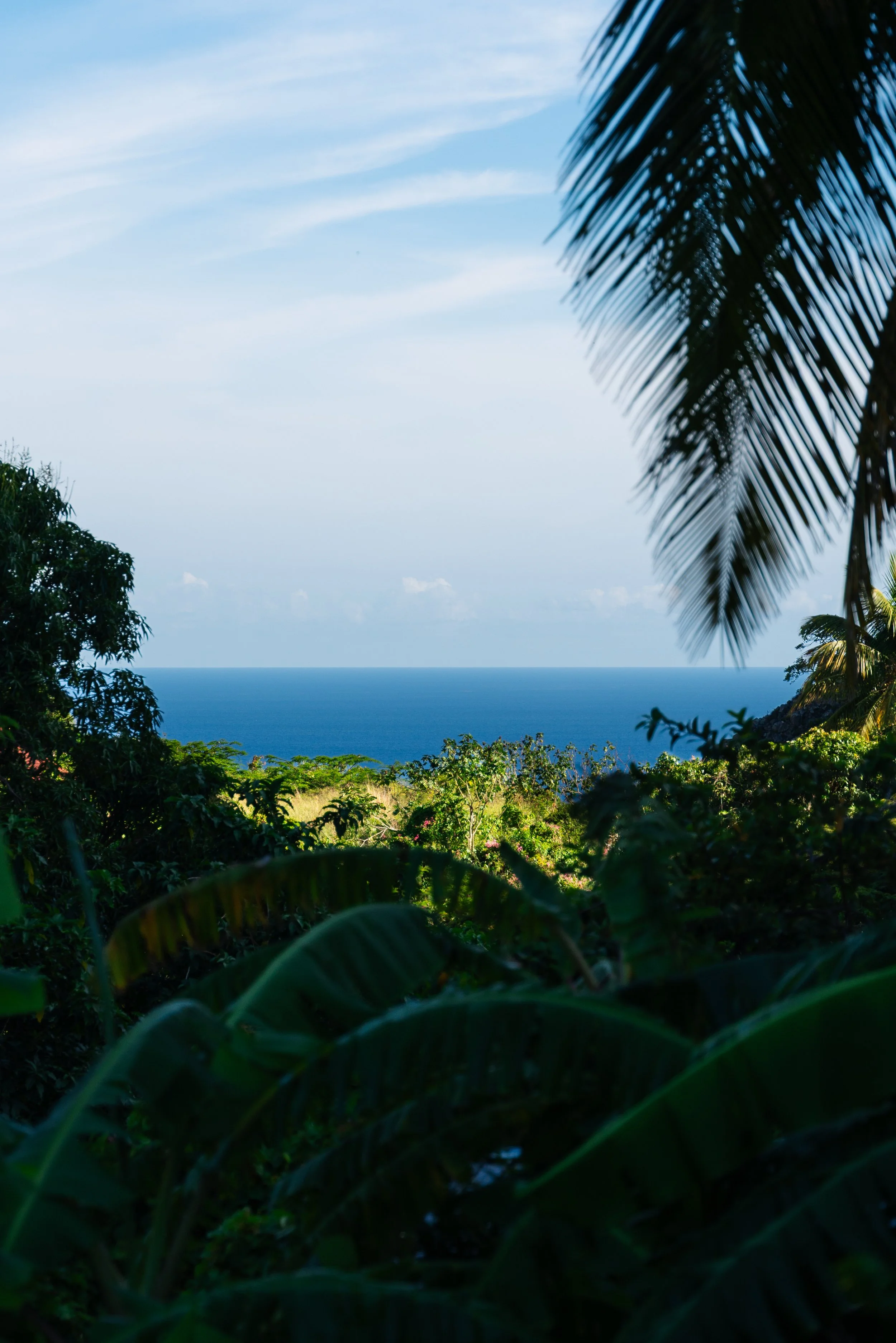 Saba-110.jpg