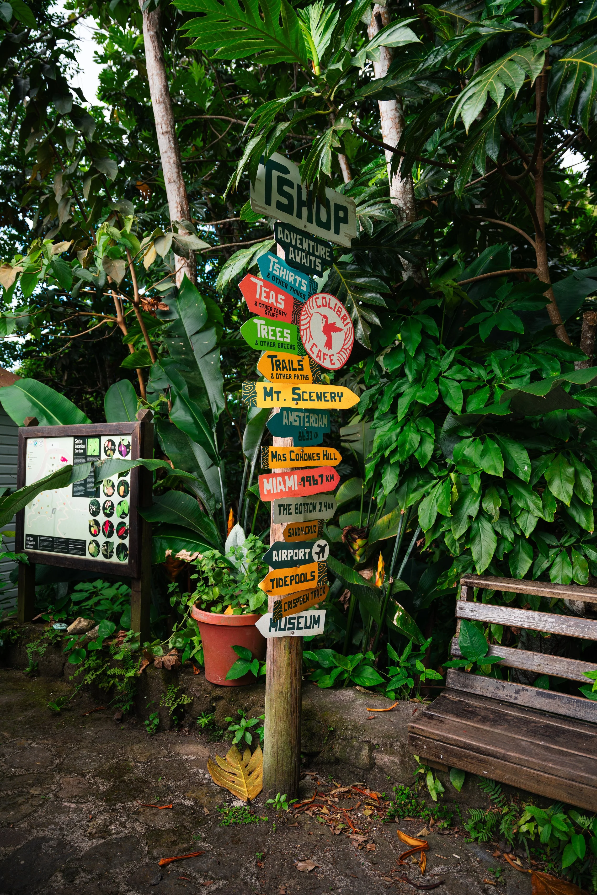 Saba-033 copy.jpeg