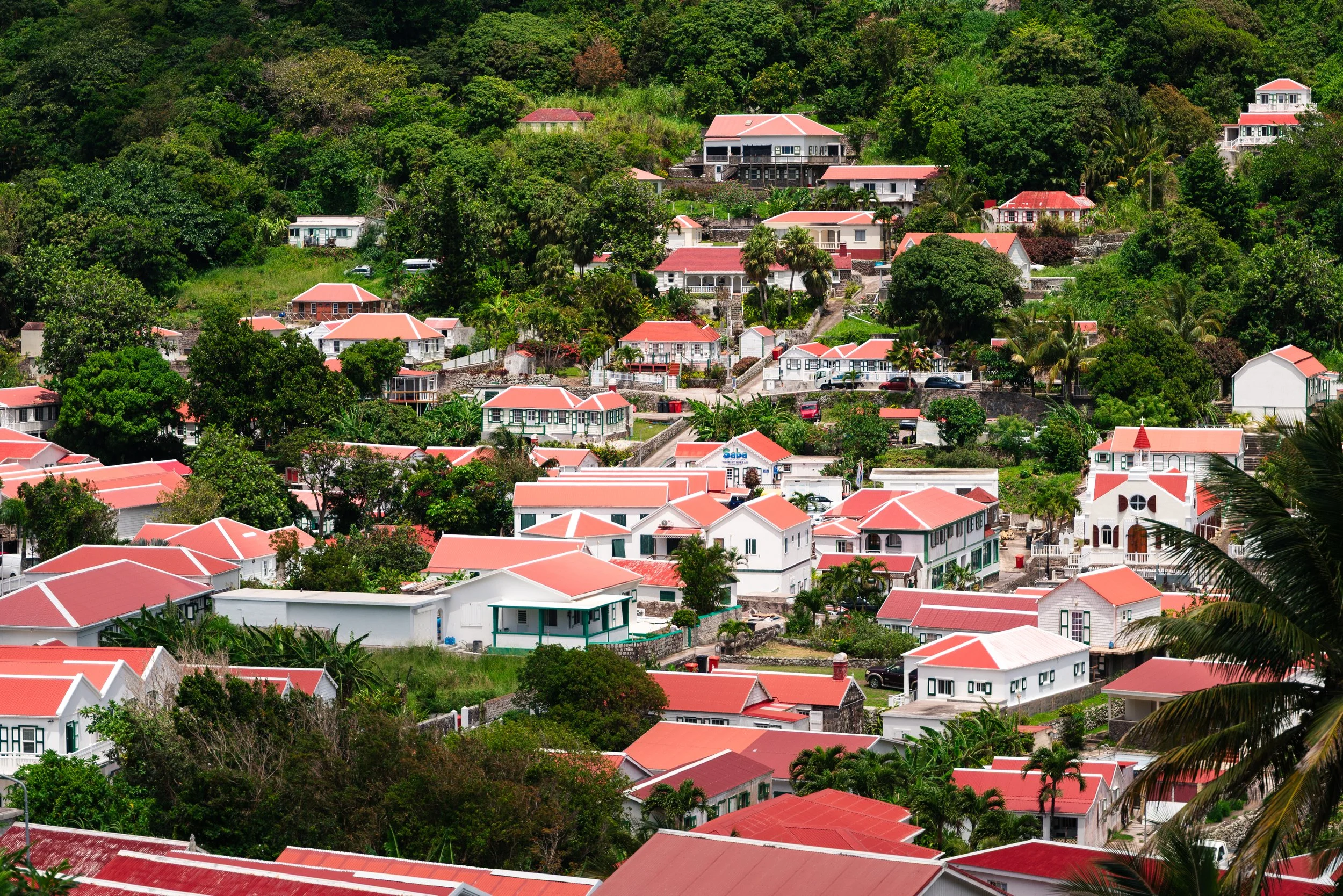 Saba-076.jpg
