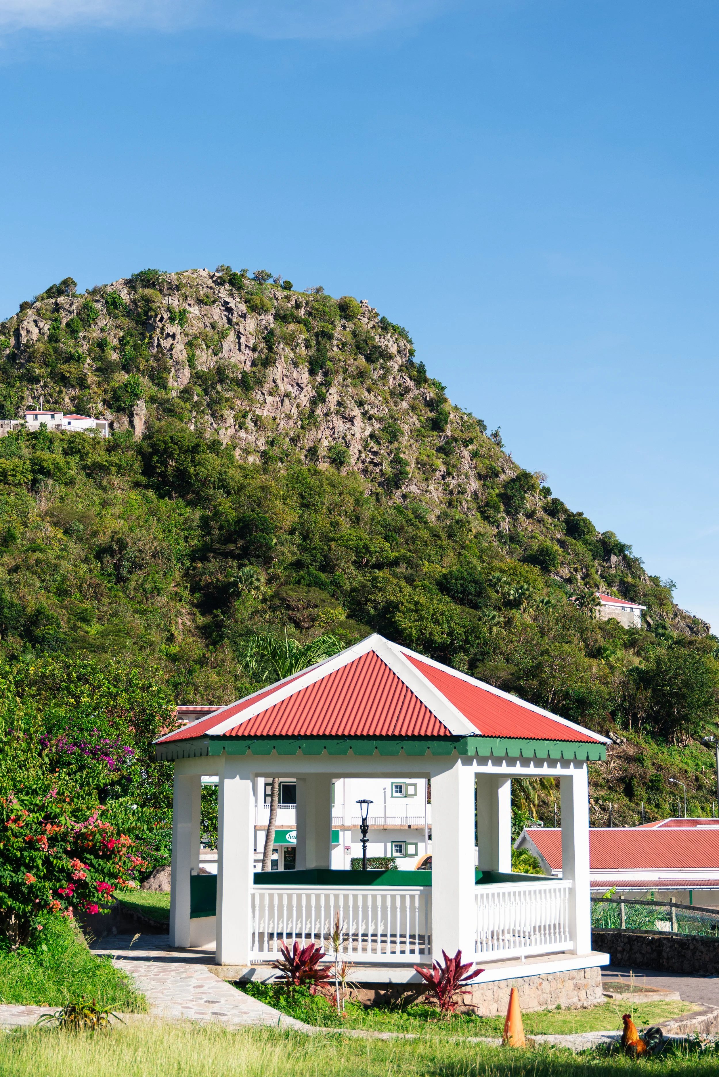 Saba-113.jpg