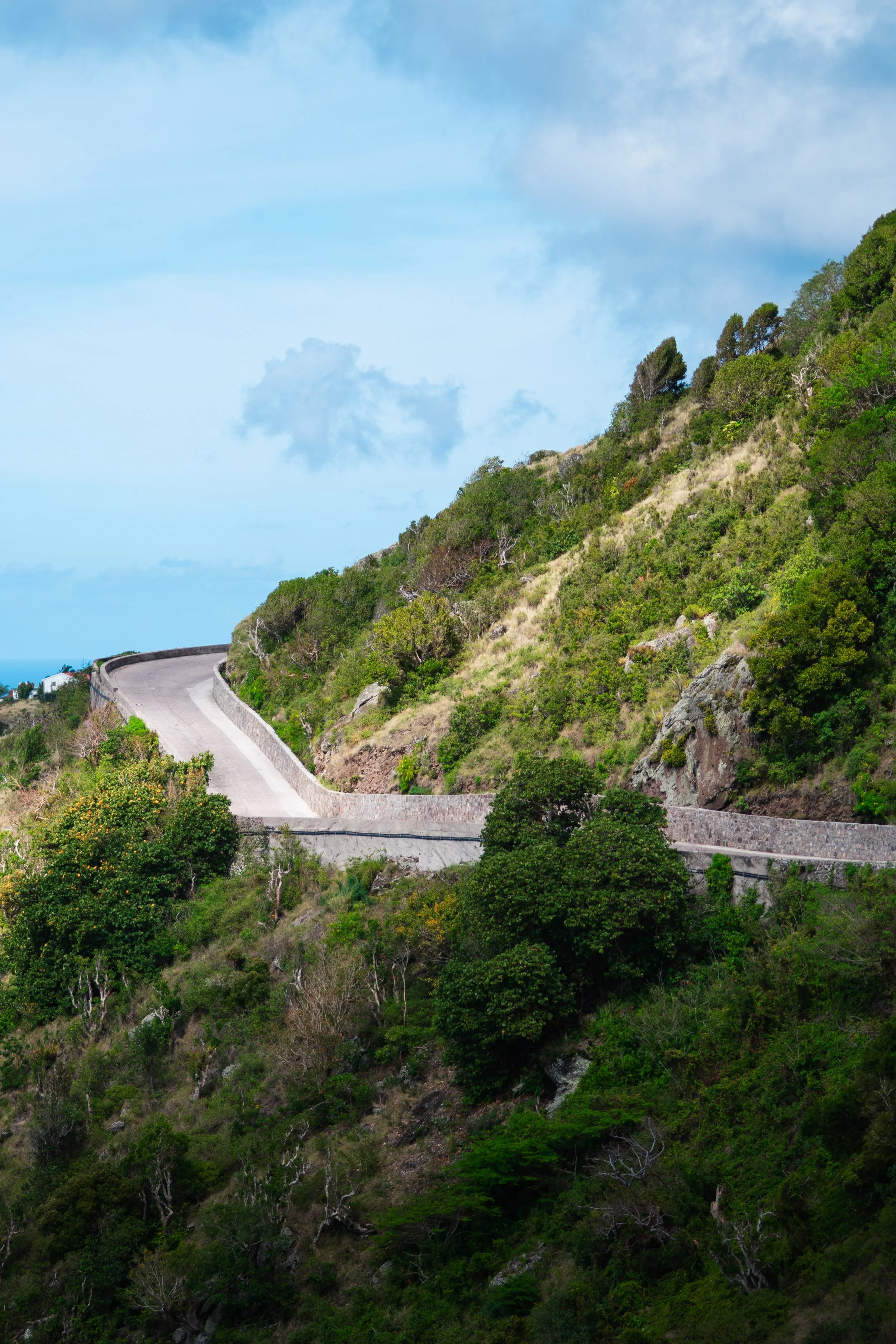 Saba-046.jpg