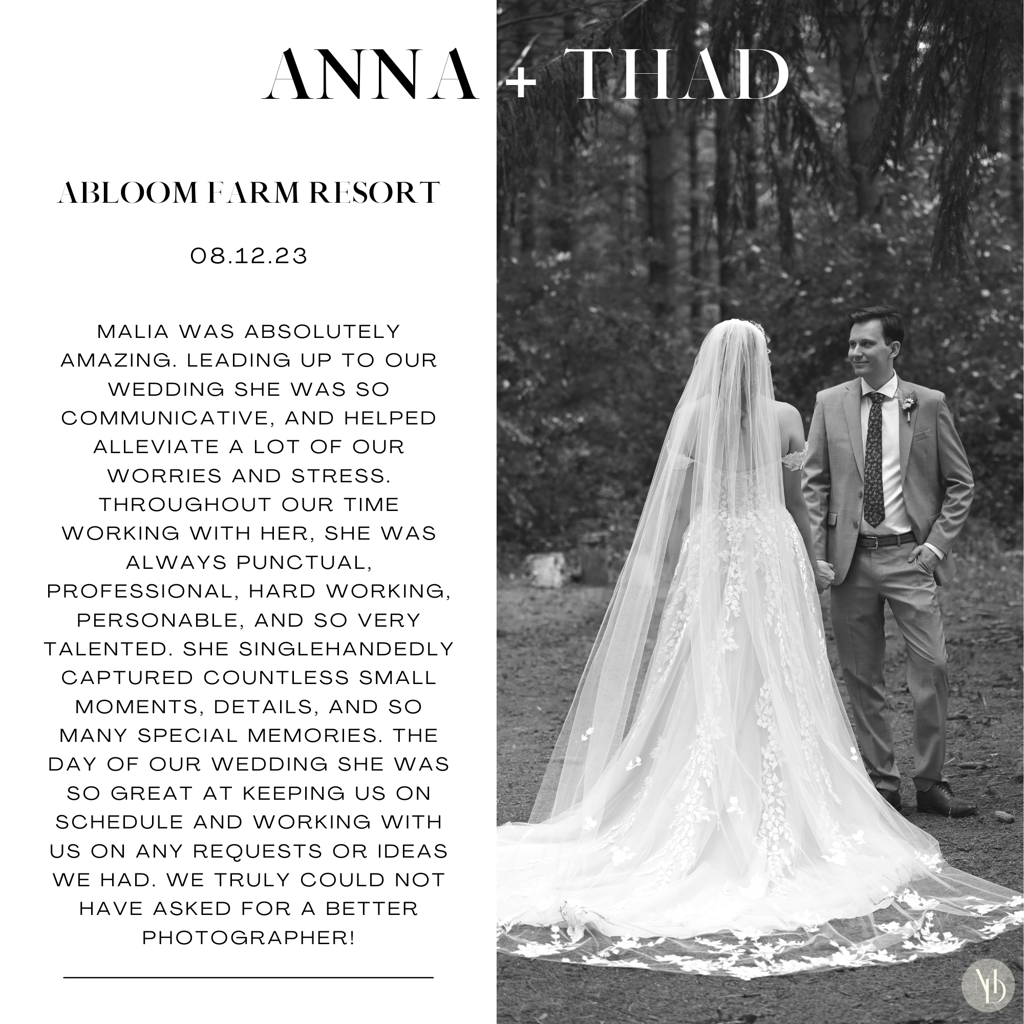 Reviews!  -  Malia Davis Photo Collective [Texas Hill Country and Austin, TX Photographer]