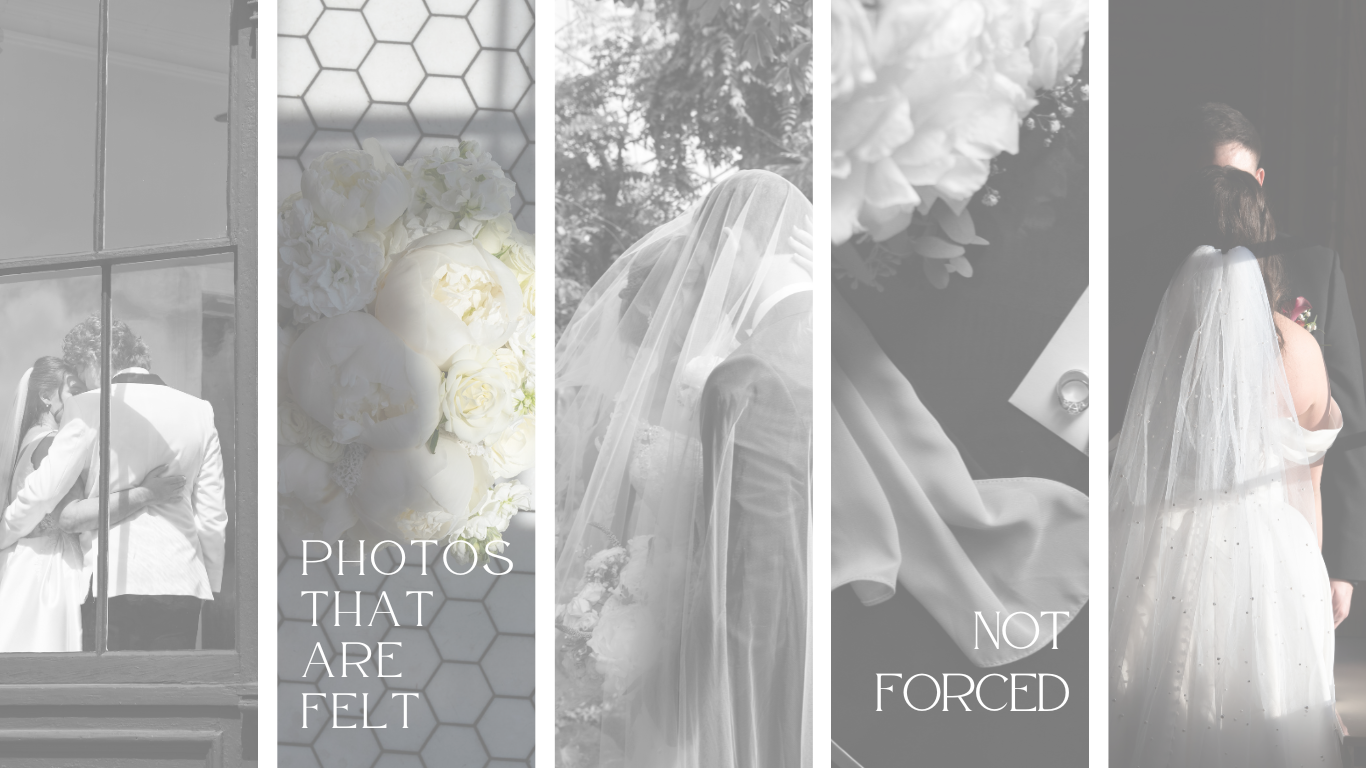 Malia Davis Photo Collective [Texas Hill Country and Austin, TX Photographer] 'Photos that are felt, not forced'