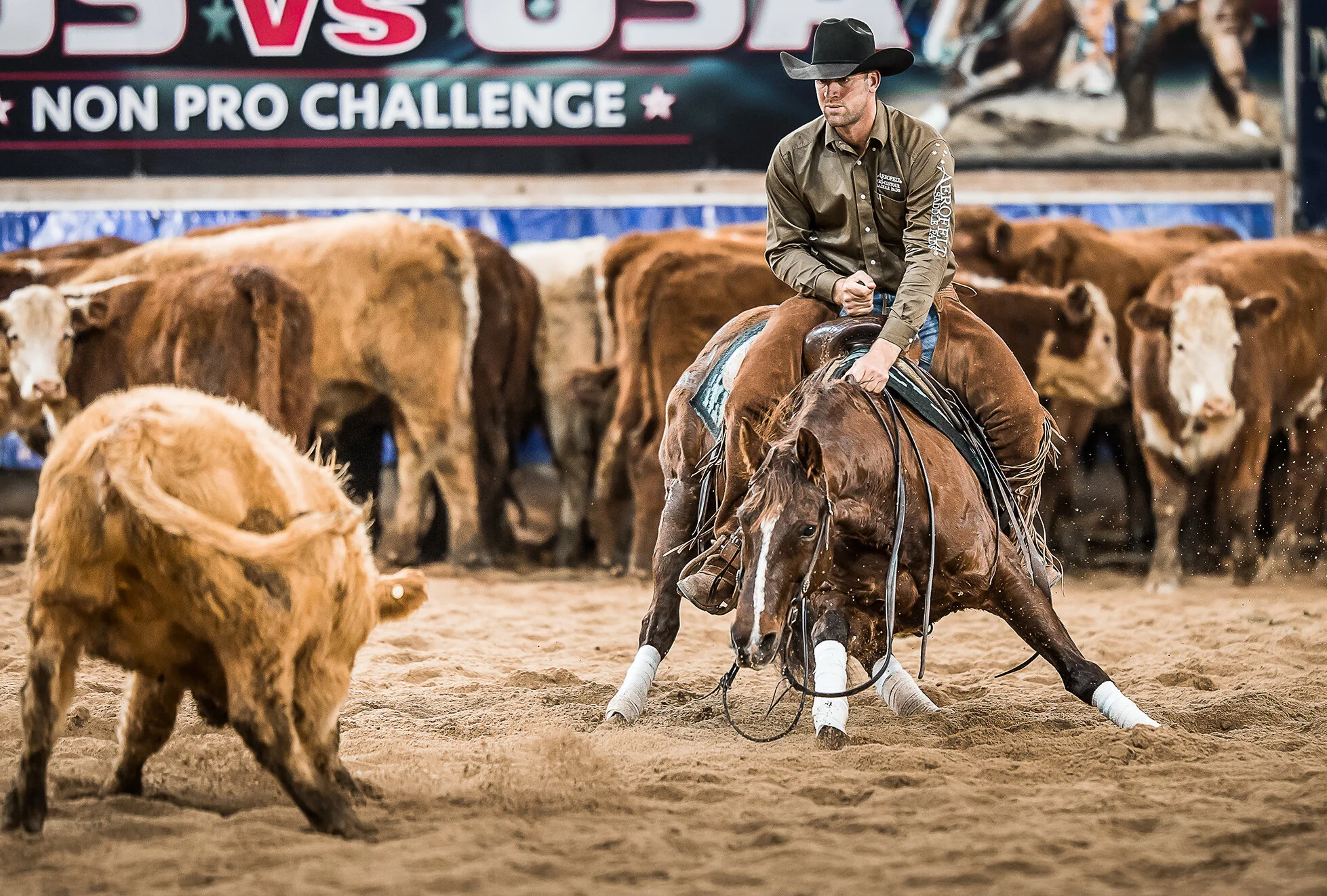 TRENT SMITH — Quartz Hill Quarter Horses