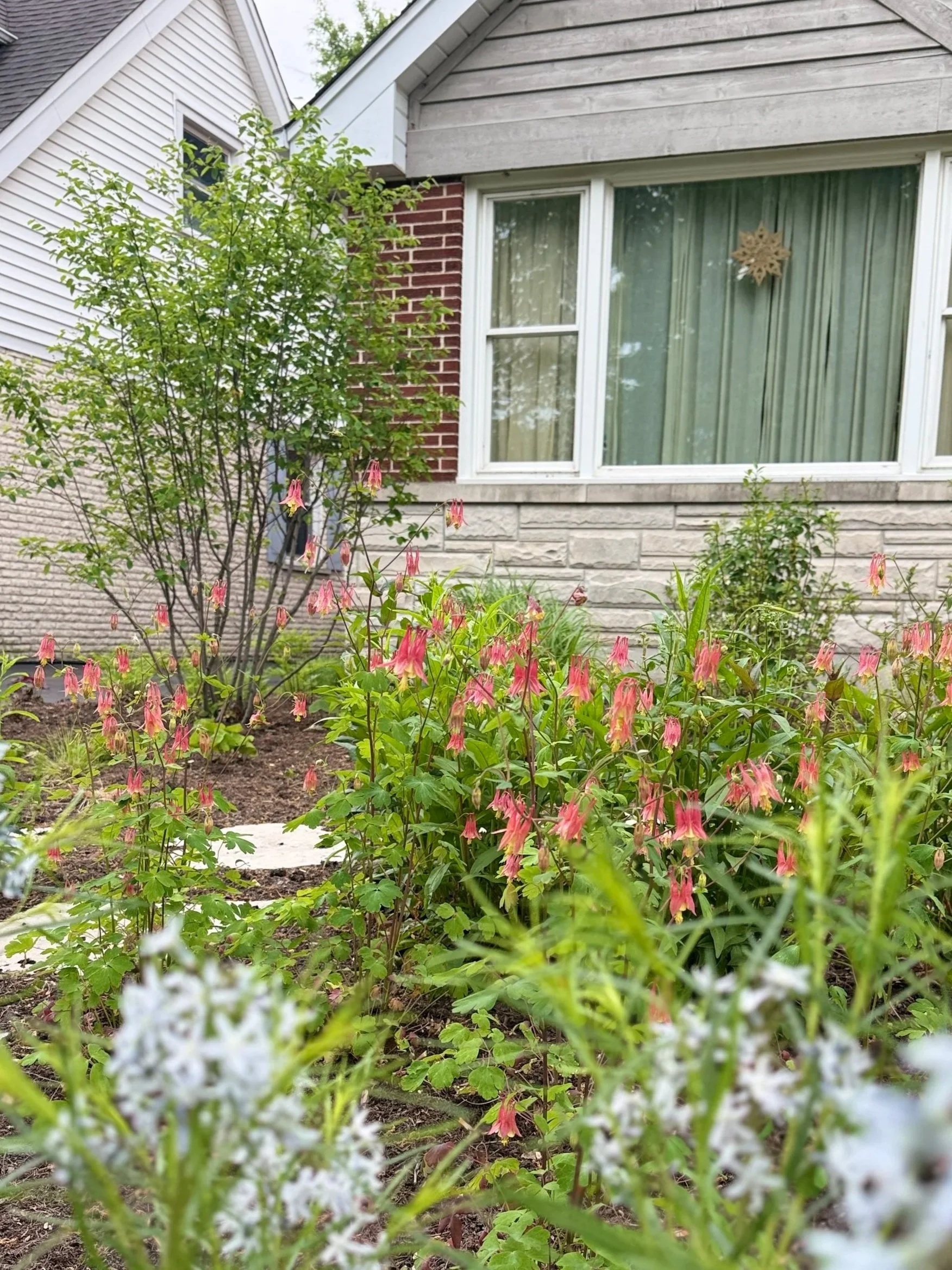 Baty+Yard+-+Spring.jpg