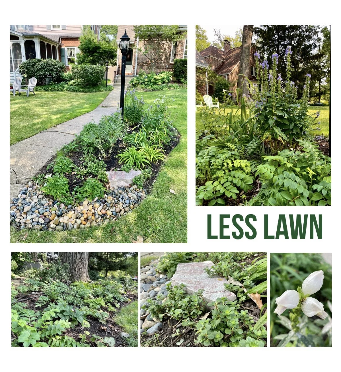 A collage of five garden scenes, showing a small landscaped yard with a walkway, a garden with purple flowers and lush greenery, and a flower bed with white blossoms, emphasizing reduced lawn space.