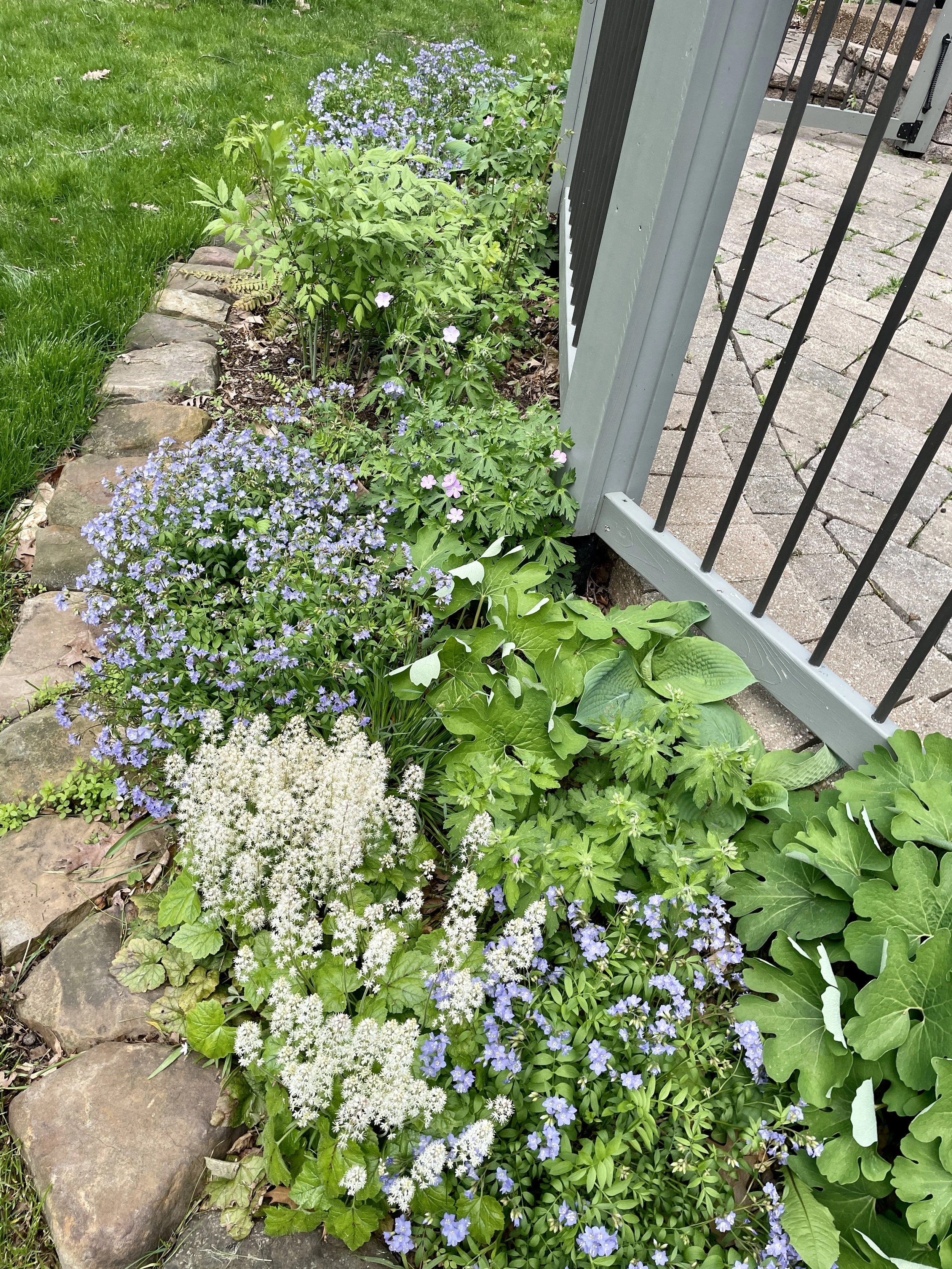 Flower bed with purple, white, and green plants along a stone border next to a grey fence and patio.
