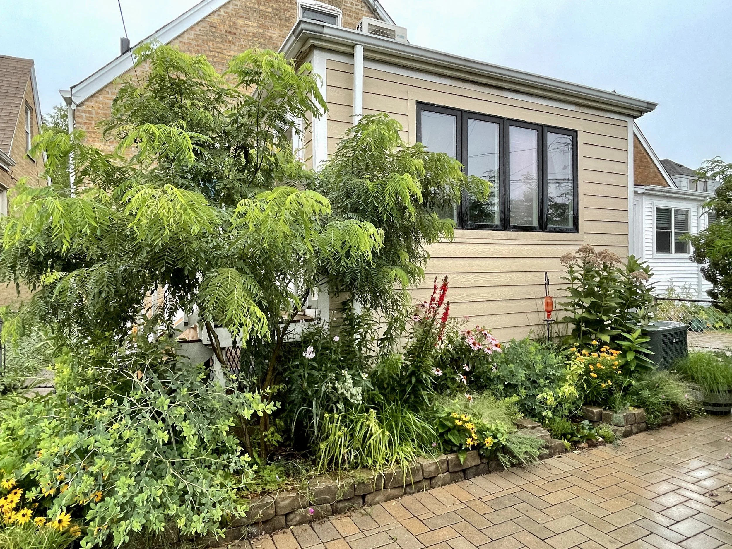 A garden with various plants and flowers in front of a house with beige siding and a large window. The house has a brick pathway and a tree with green leaves.