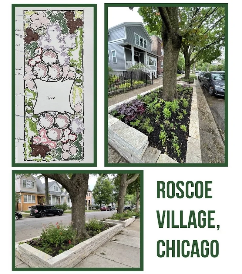 A visual presentation of a community yard and sidewalk landscaping project in Roscoe Village, Chicago, featuring a detailed landscape design plan, a garden bed with plants and a tree, and a sidewalk garden with brick borders.
