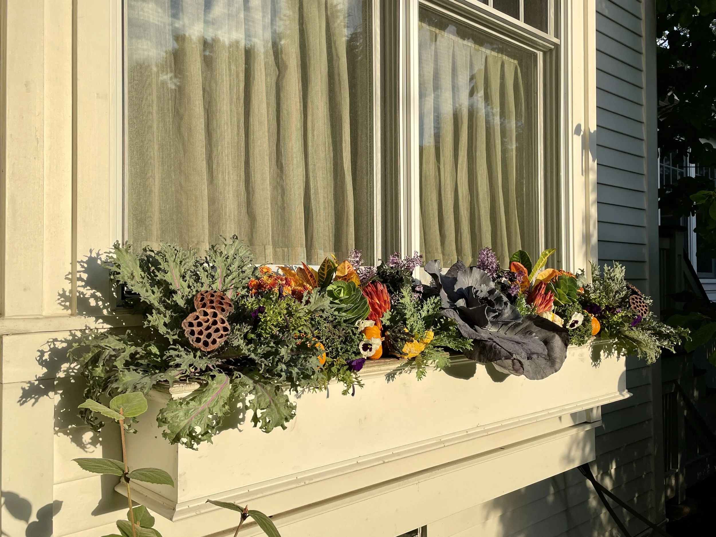 Decorative flower box with colorful flowers and foliage on a house's window ledge