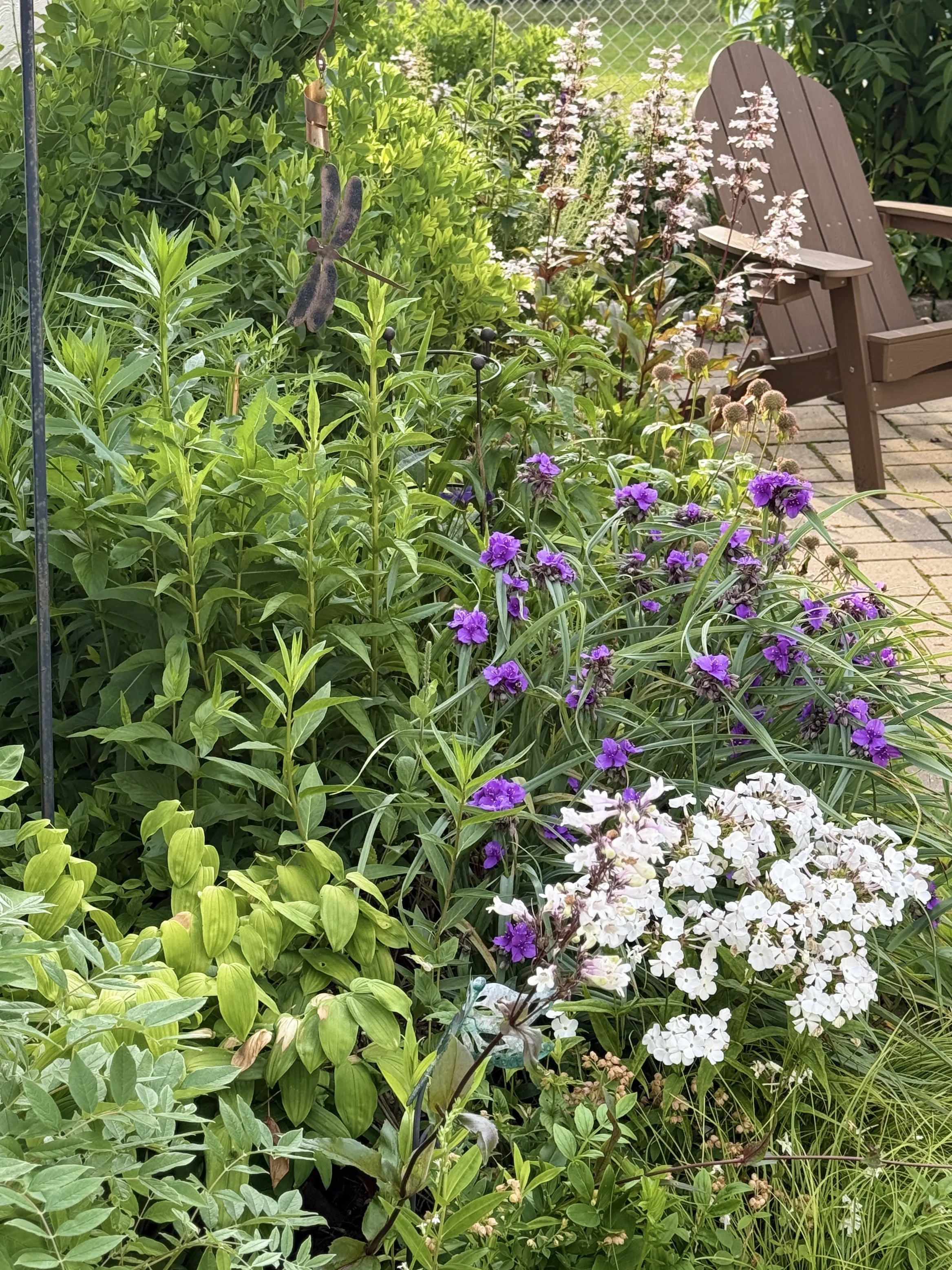 Schreiber backyard - Spring.jpg