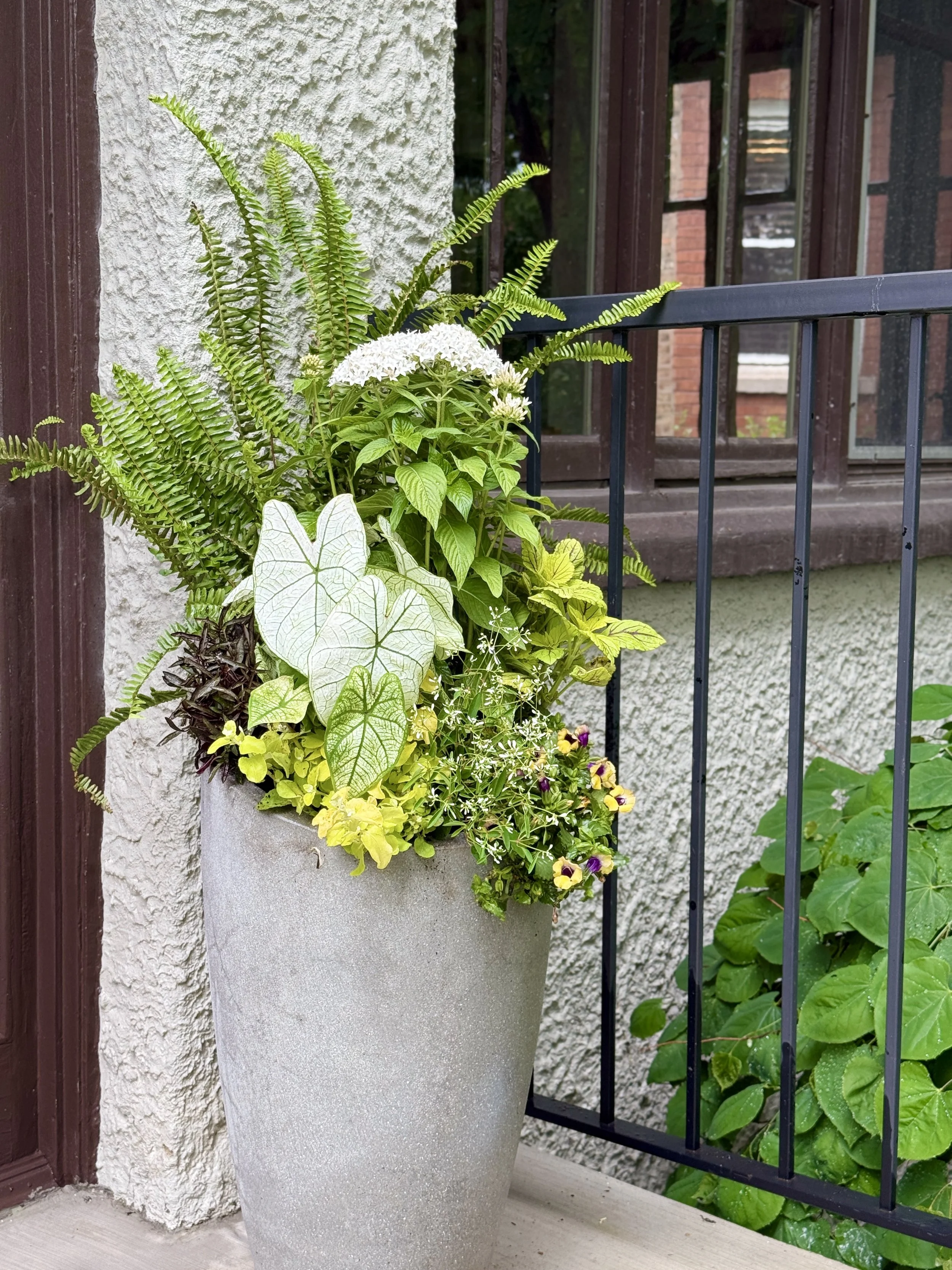Julia Adams Planters 2026JPG.JPG
