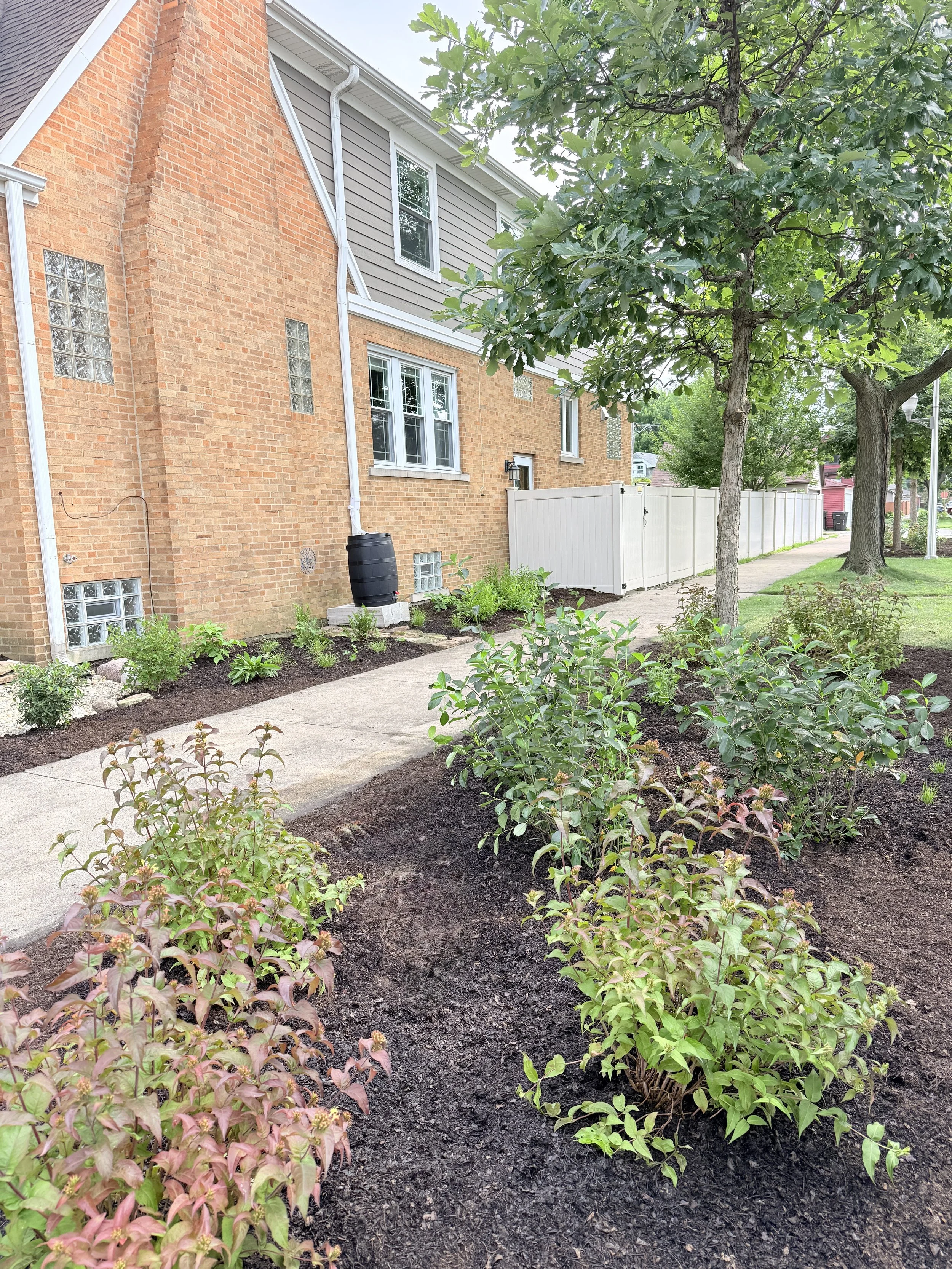 parkway planting.jpg