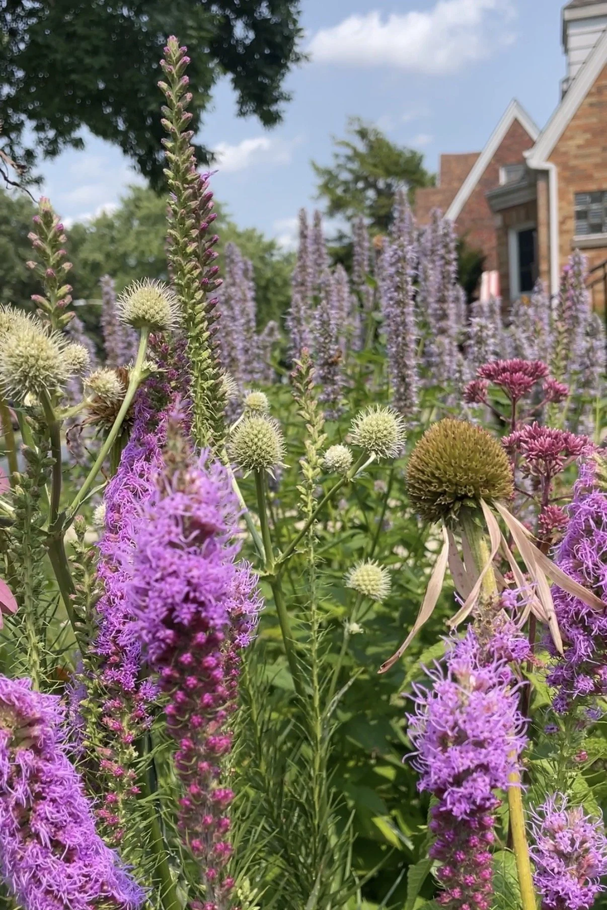 IMG_9046.jpg