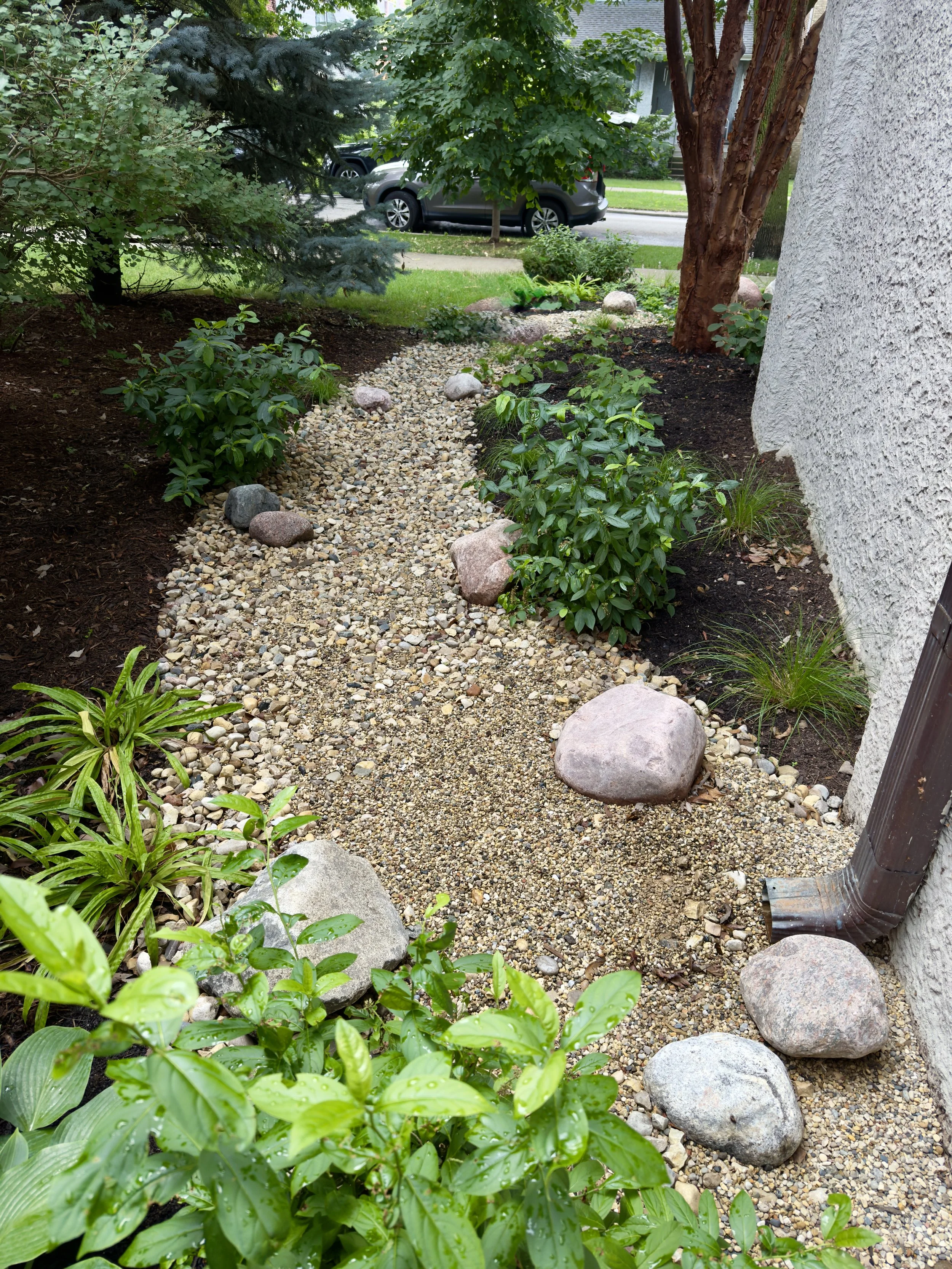 swale - ravenswood.jpg