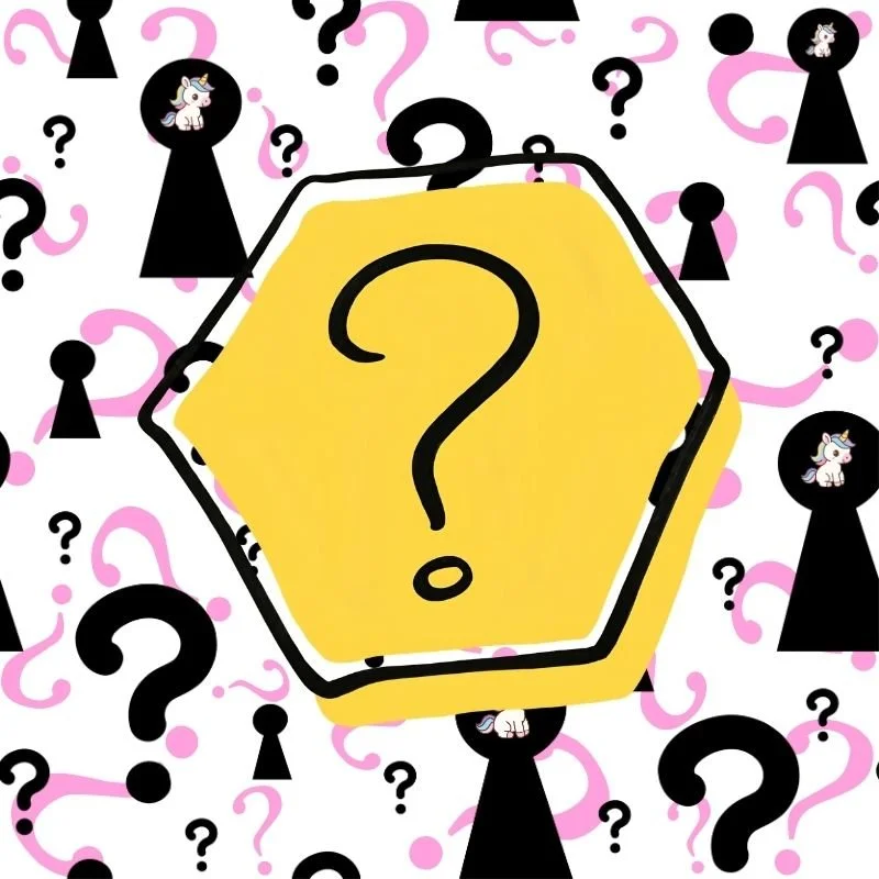 The Unicorn Bag — Mystery Pull (Add-On)