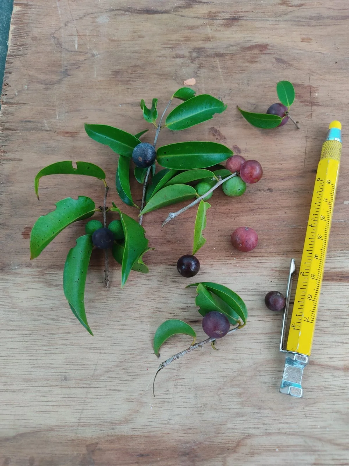 219290ad-e23f-48ee-af6d-2efafefa605e.jfif