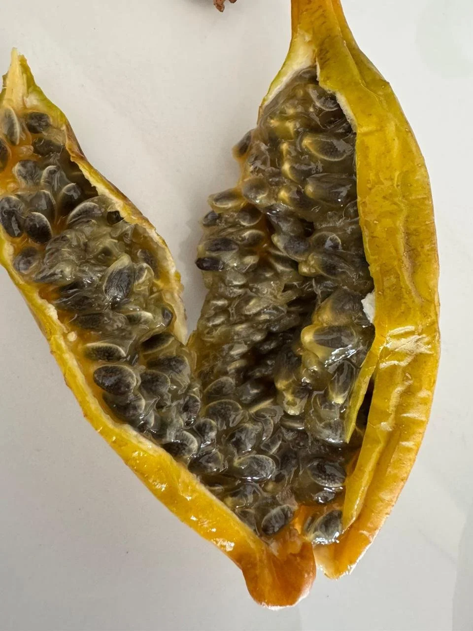 f99ce1fa-6c76-4e66-affb-30c828eb4b7a.jfif