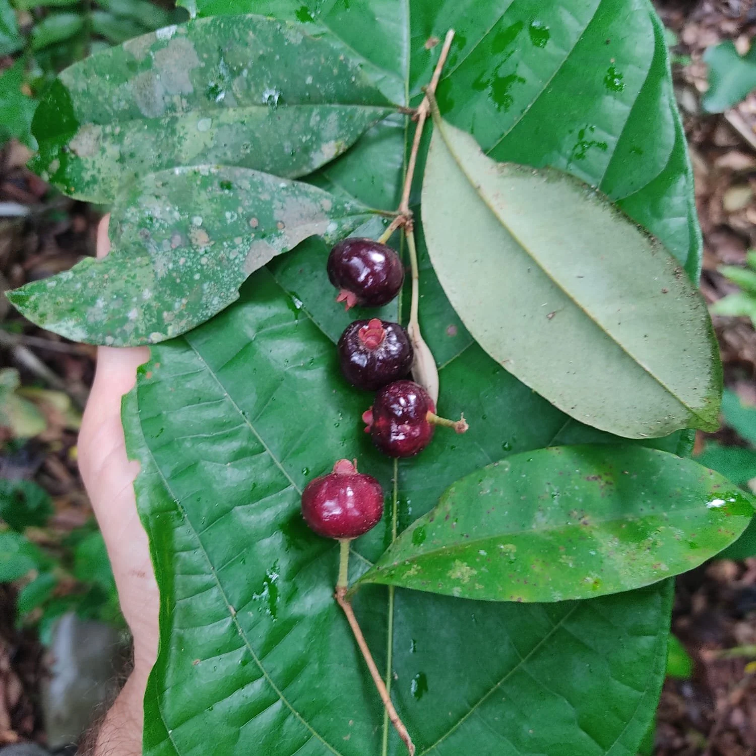 f8eda880-66de-4afc-a555-062bcd33f5da.jfif