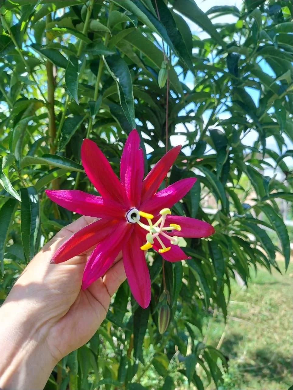 27691121-91b1-4b8f-8bd9-d3071af71208.jfif