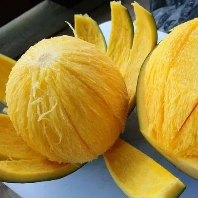 Screenshot 2026-02-08 160627.png