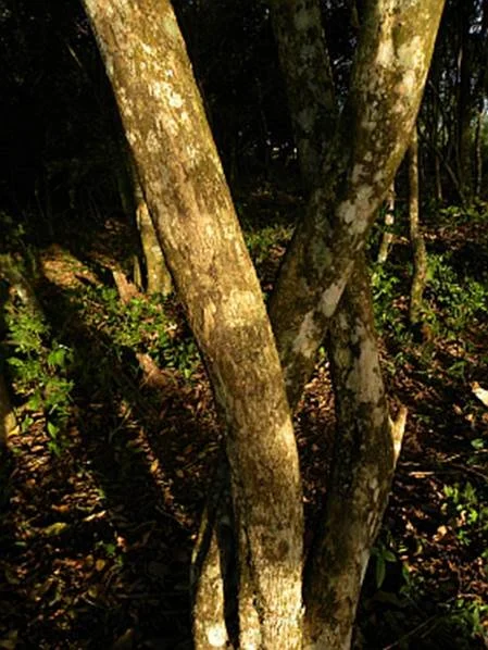 image002.jpg